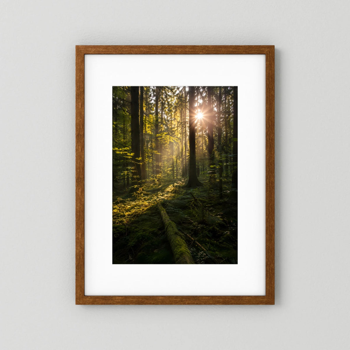Poster im Hochformat mit braunem Holzrahmen und weißem Passepartout