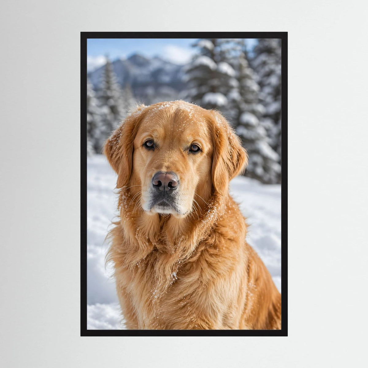 Hundeposter mit Golden Retriever im Schnee, im schwarzen Rahmen