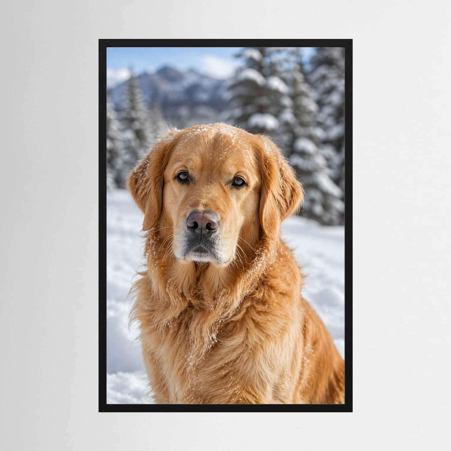 Hundeposter mit Golden Retriever im Schnee, im schwarzen Rahmen