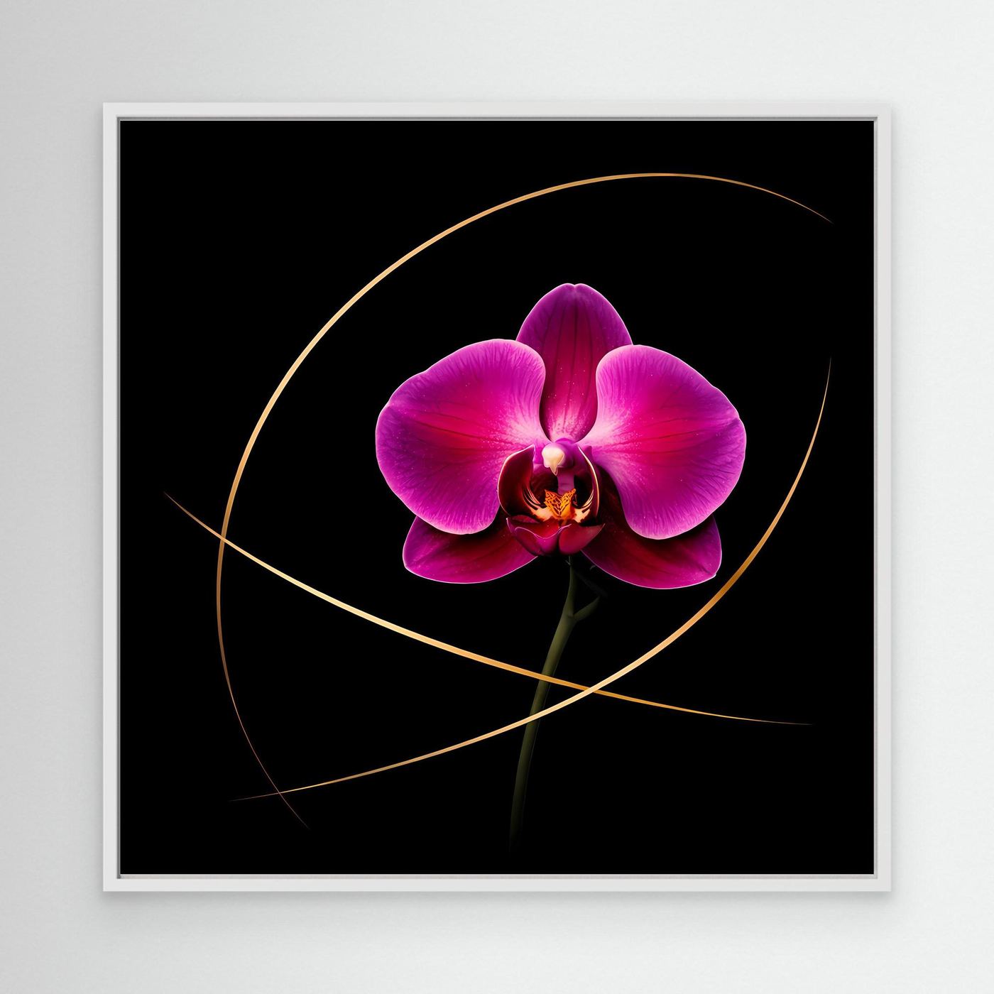 Leinwandbild mit magentafarbener Orchidee und goldenen Linien auf schwarzem Hintergrund, mit weißem Rahmen