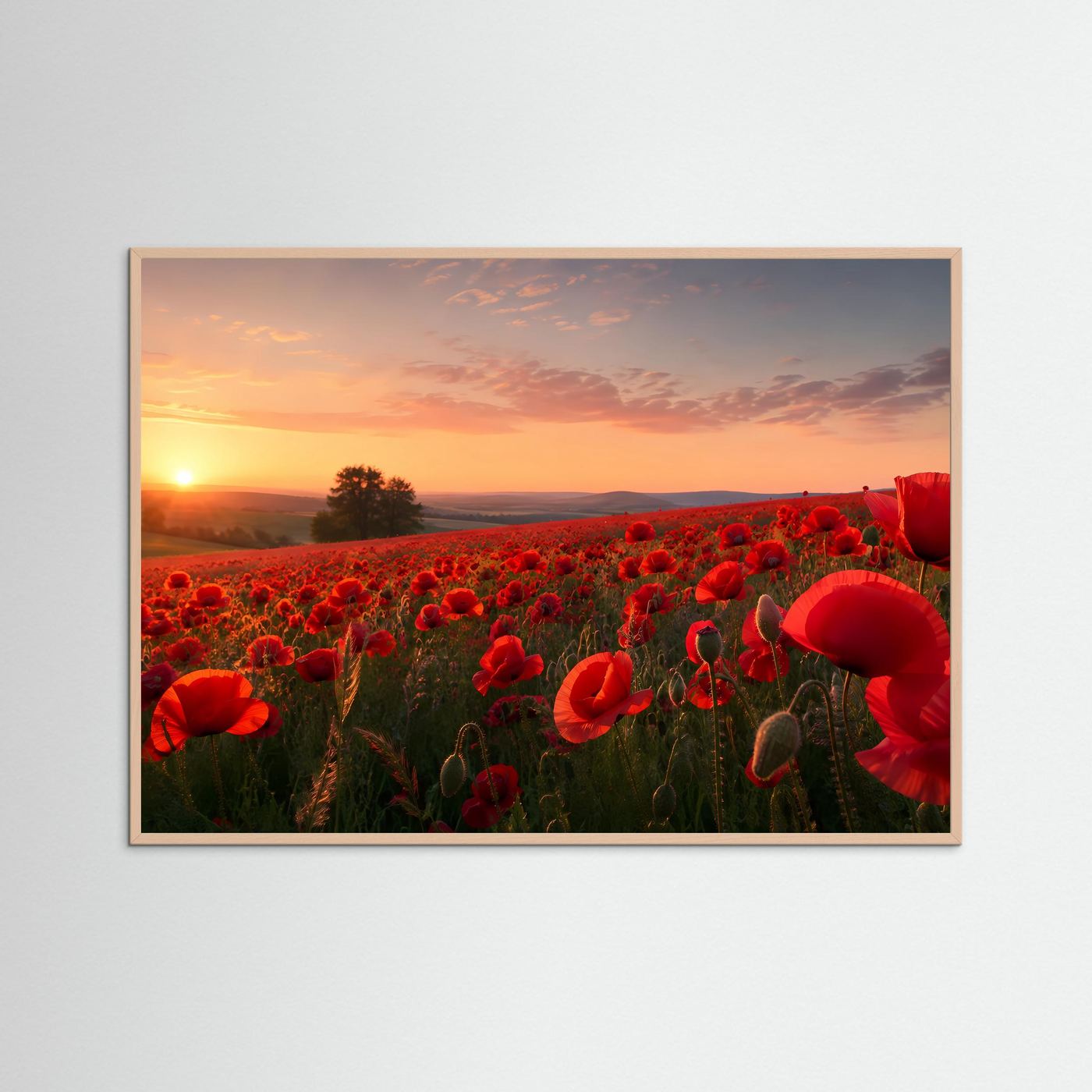 Querformat-Poster mit rotem Mohnblumenfeld bei Sonnenuntergang, roséfarbener Rahmen