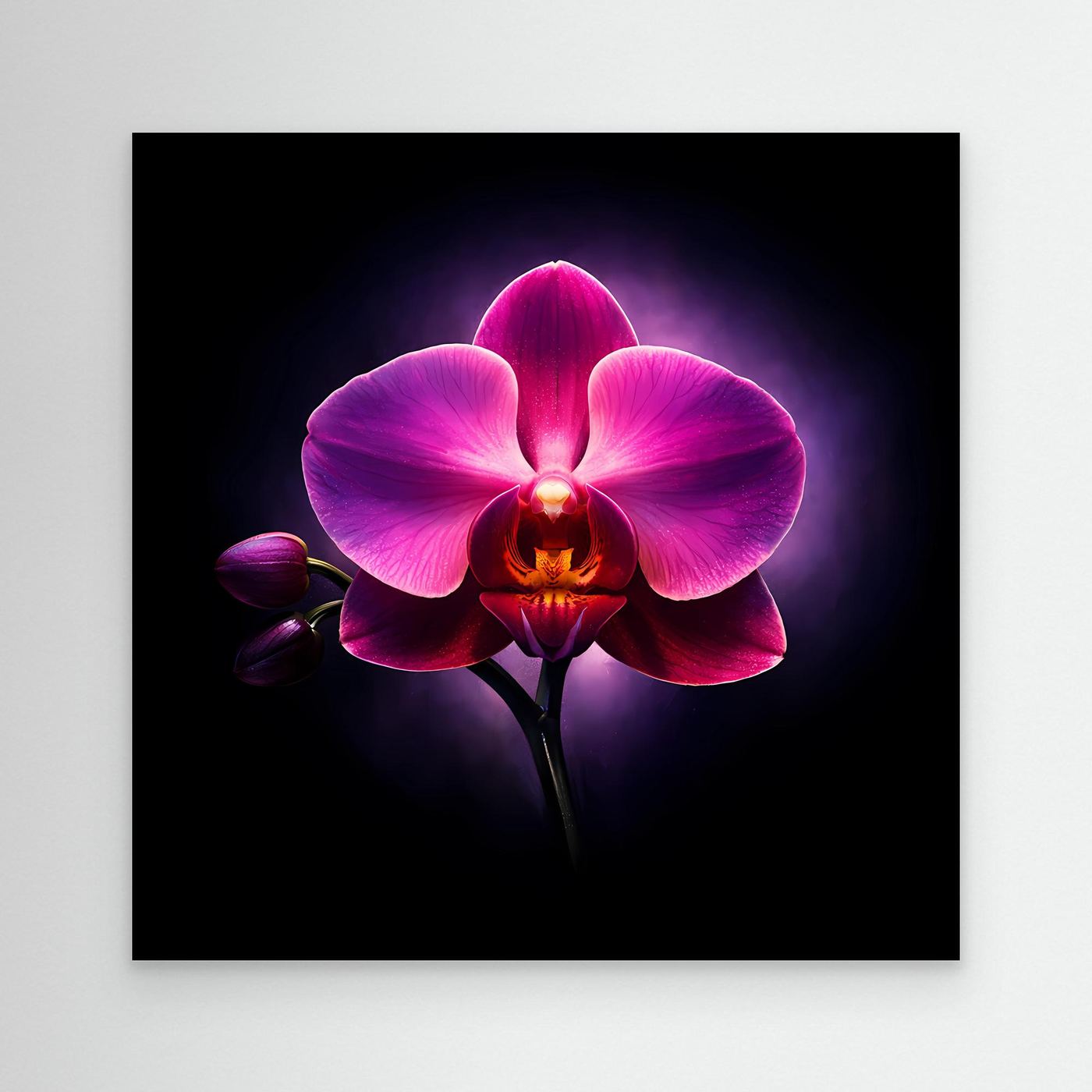 Leinwandbild mit abstrakter Orchidee, pink-lila Blüte vor dunklem Hintergrund