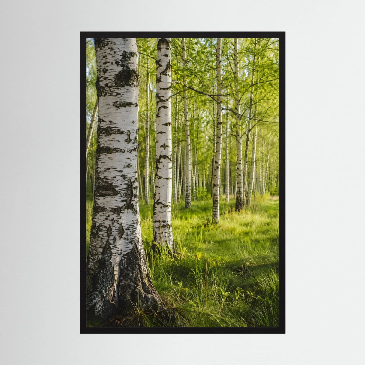 Poster im Hochformat: Birkenwald mit grüner Wiese, schwarzer Rahmen