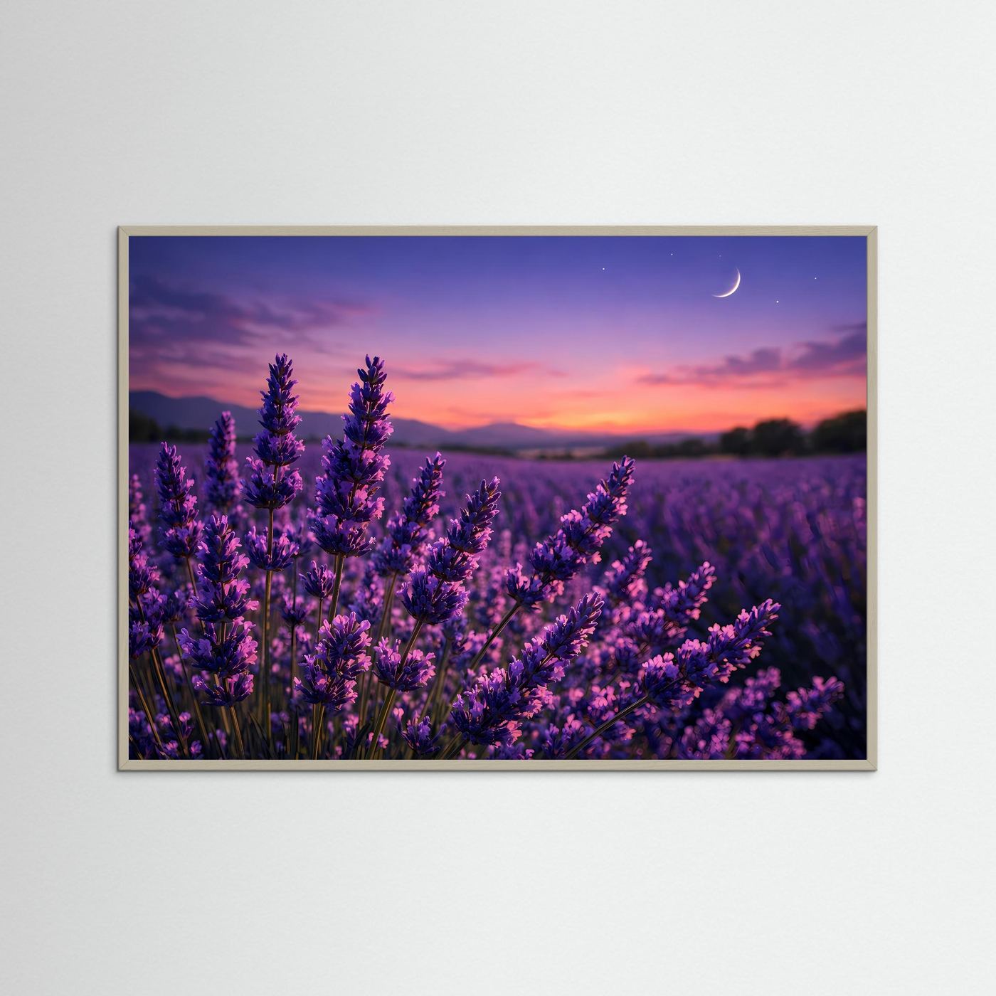 Lavendelnacht unter Sternen | Provence & Mondschein Panorama Poster Querformat