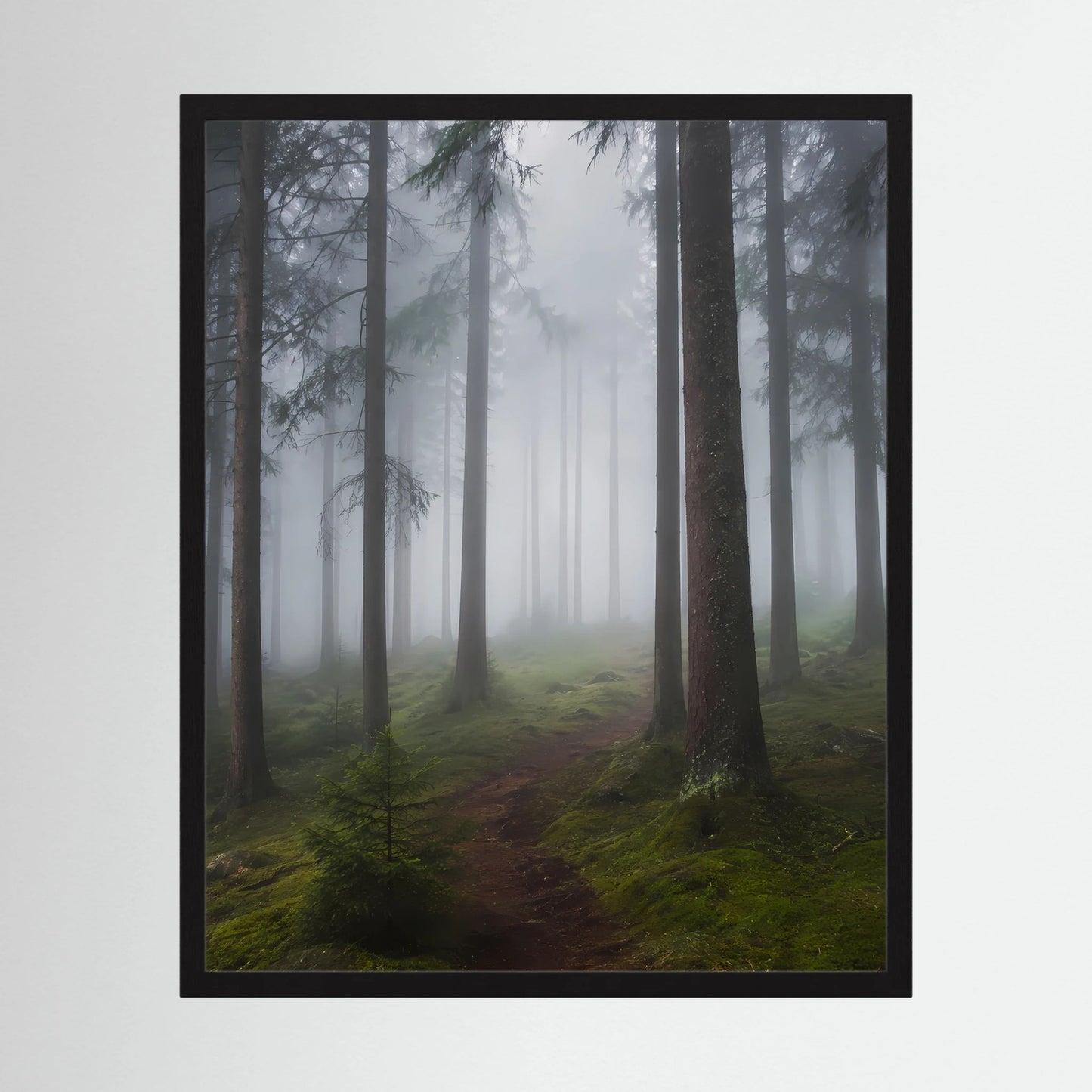 Hochformat-Poster mit Nebelwald, Waldweg zwischen hohen Tannen im schwarzen Rahmen