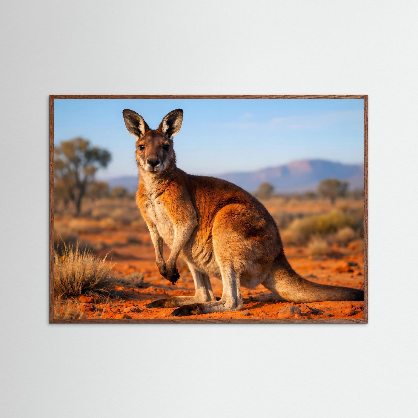 Wildtierposter im Querformat mit braunem Känguru und braunem Holzrahmen