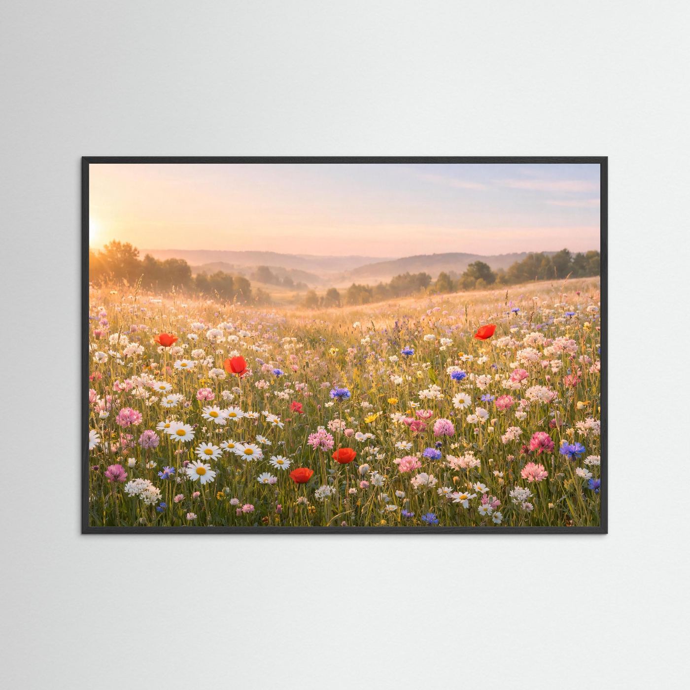 Blumenwiese im Morgenlicht | Sommer Naturposter Querformat