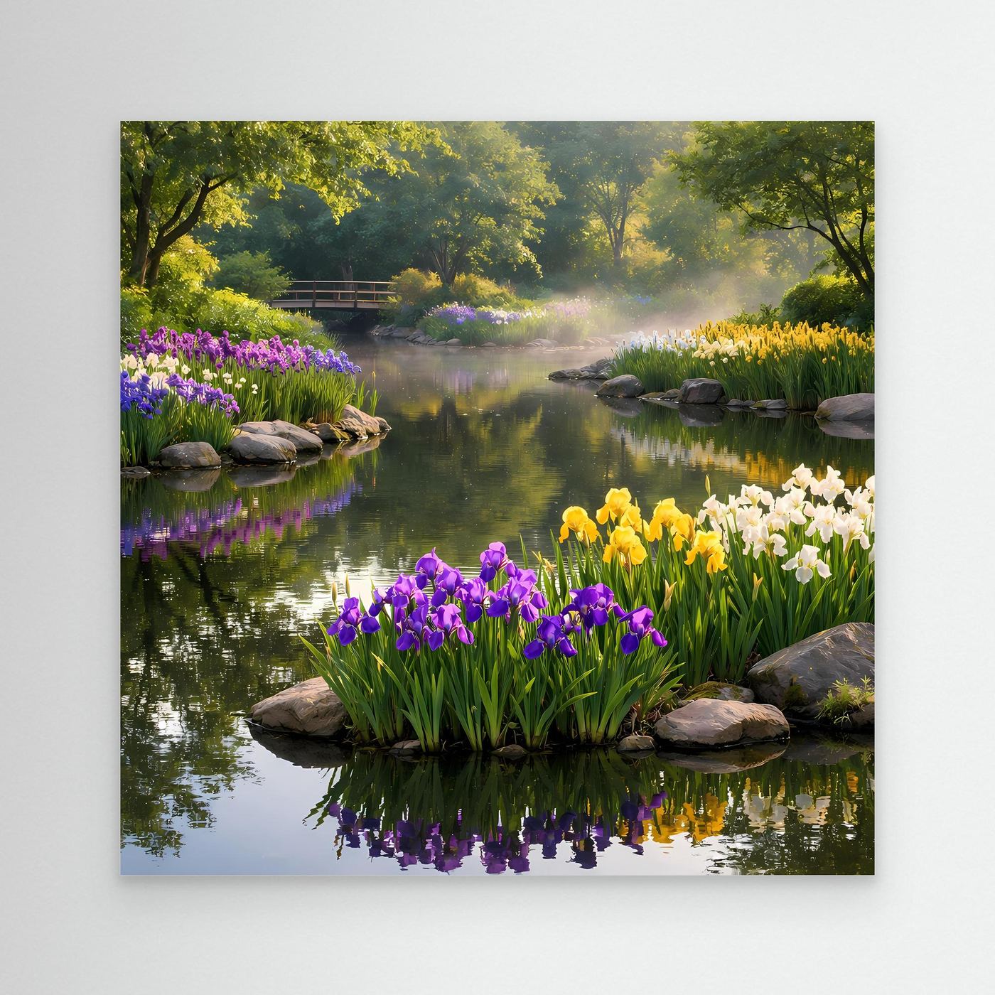 Leinwandbild Irisgarten am Teich mit lila, gelben und weißen Blüten, Steinen und Spiegelung.