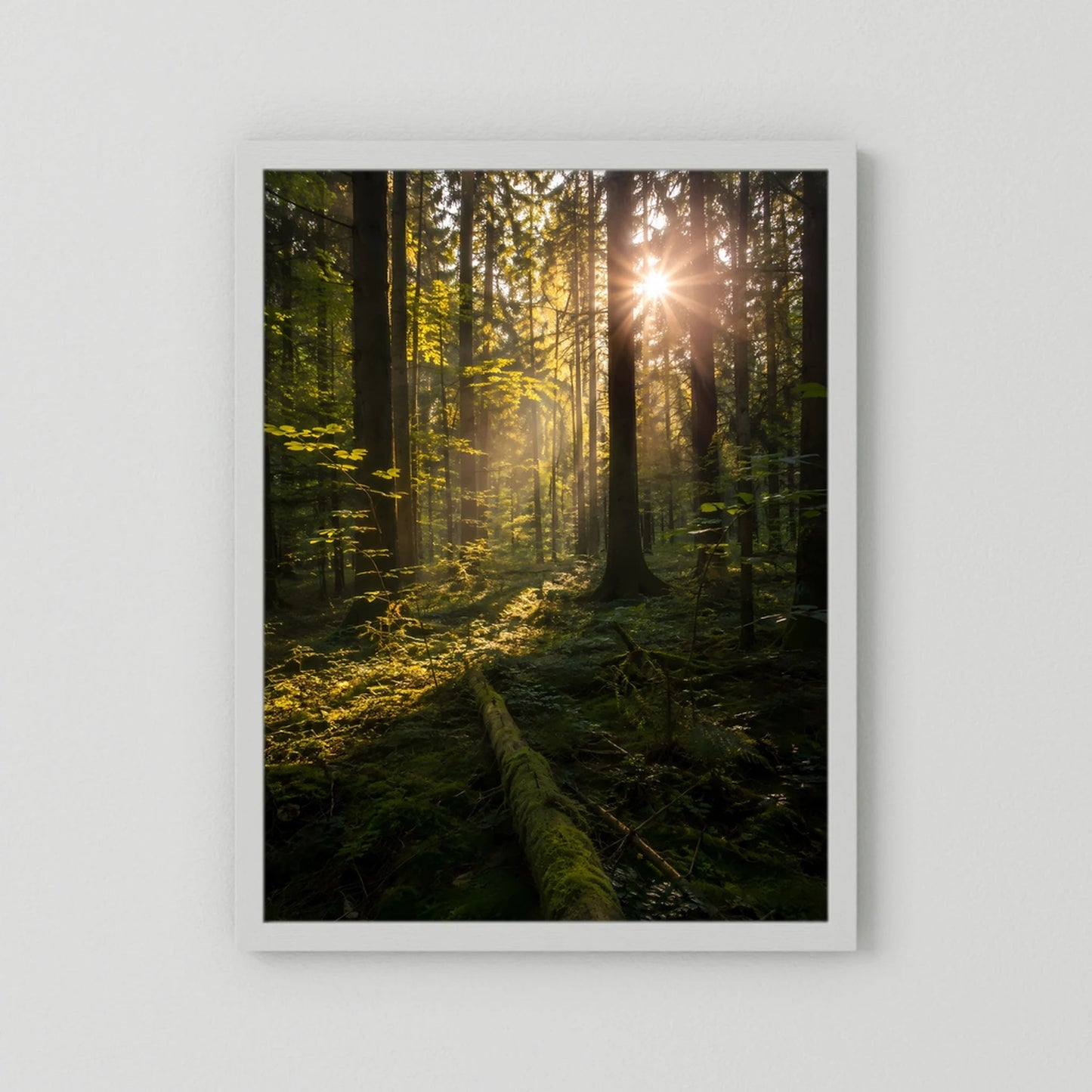 Poster im Hochformat mit weißem Rahmen, Sonnenstrahlen im grünen Wald