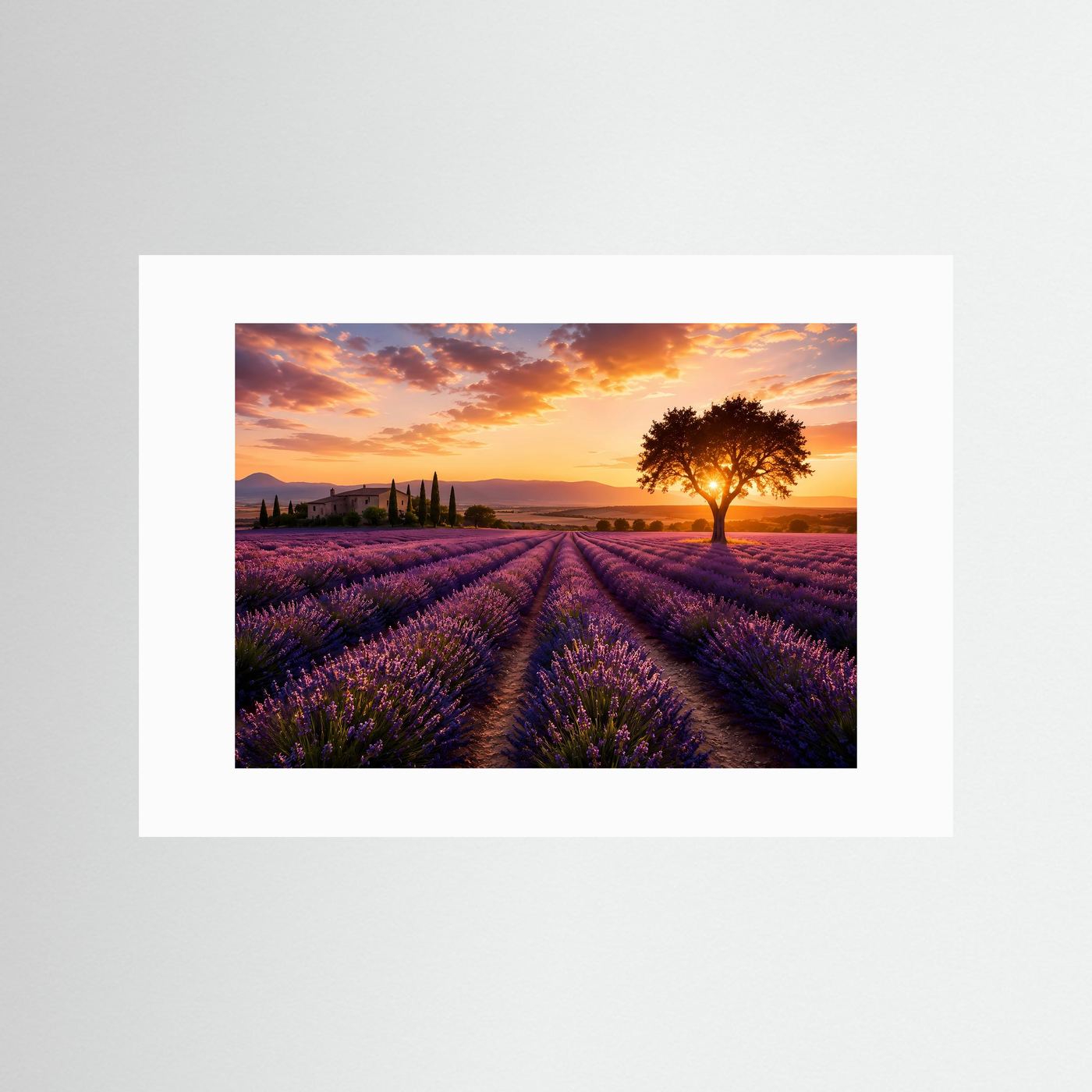 Lavendelzauber in der Provence | Romantisches Sonnenuntergang Poster im Querformat