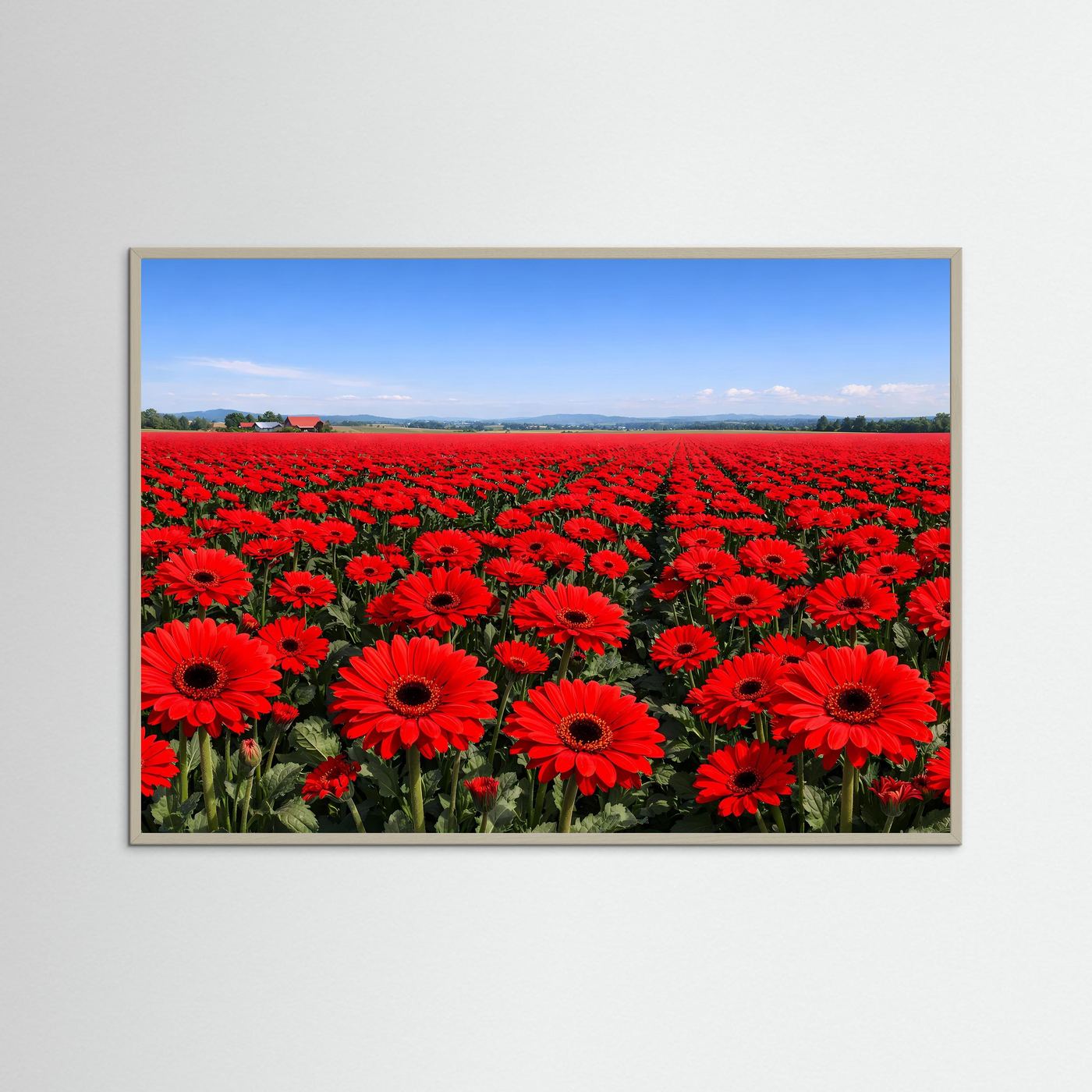 Endloses Rotes Gerbera Blumenfeld | Idyllische Landschaft & Natur Poster Querformat