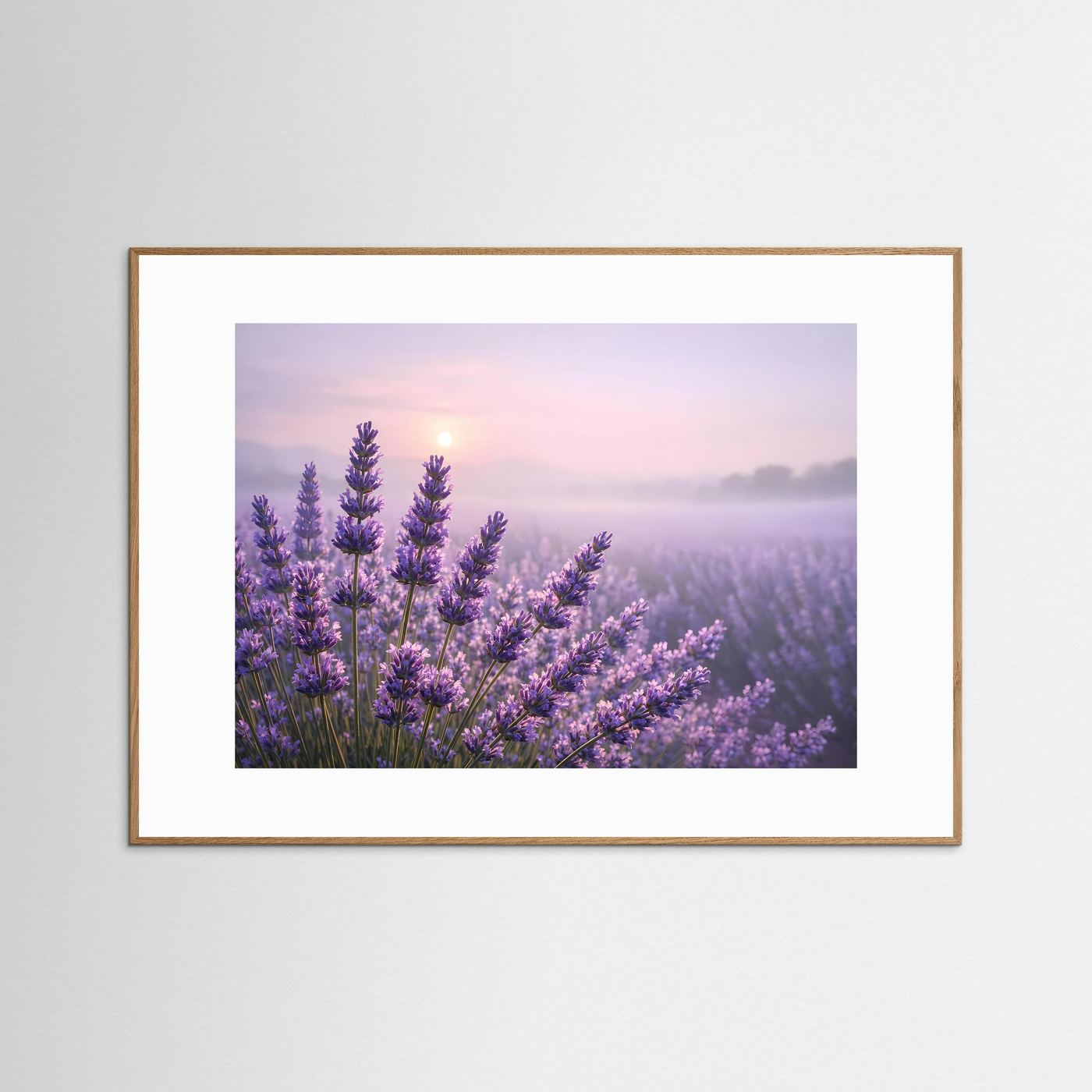 Sanfter Lavendelzauber im Morgenlicht | Panorama Blumenfeld & Natur Poster Querformat