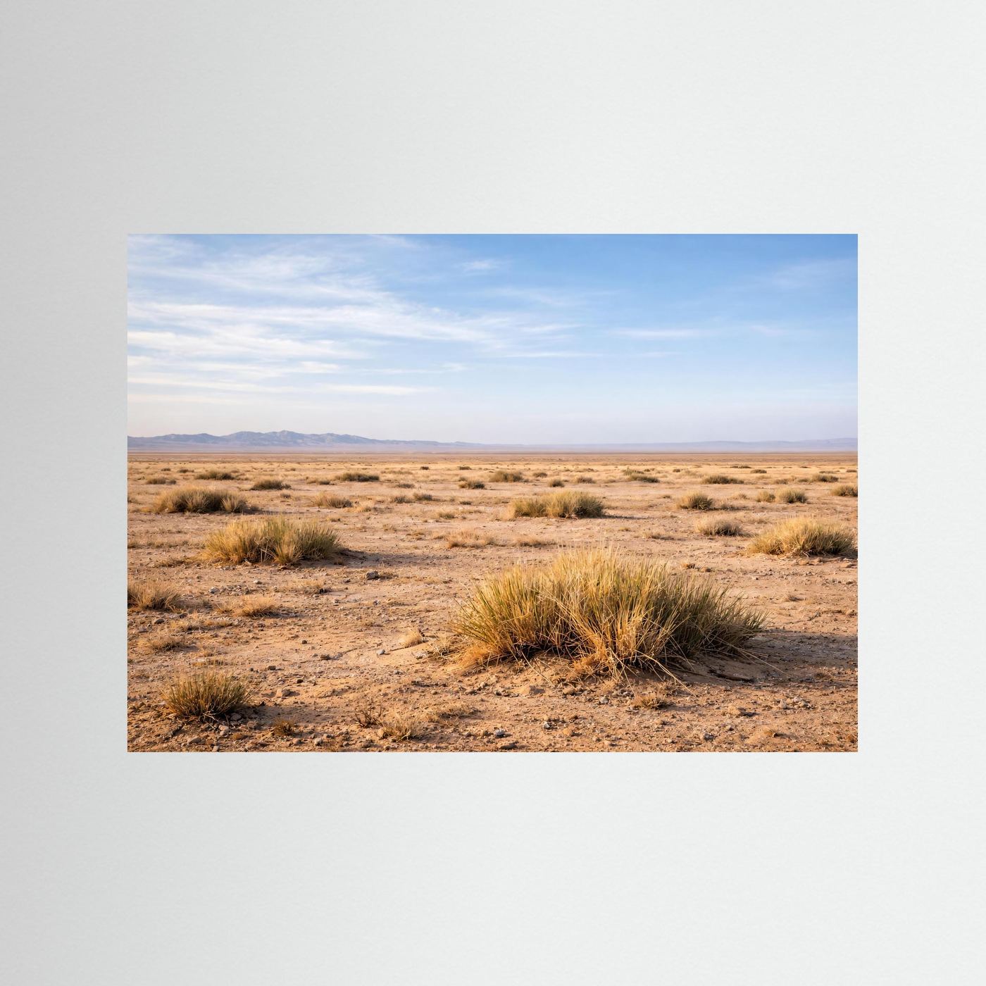 Naturposter Panorama Steppe und Wüste, Querformat, ohne Rahmen, mit blauer Kante