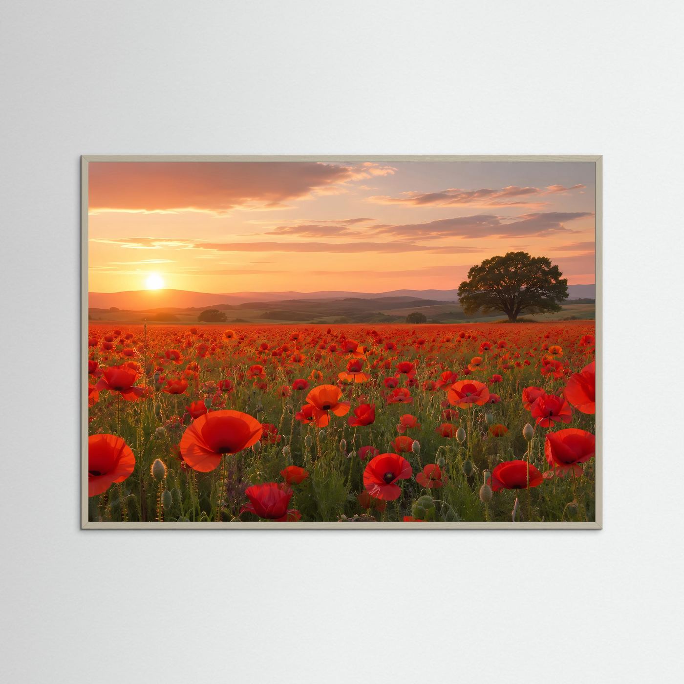 Mohnblumen Poster Querformat | Rotes Mohnfeld bei Sonnenuntergang