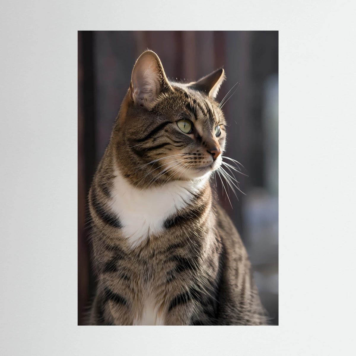 Poster mit Porträt einer getigerten Katze, grüne Augen, frontal nah aufgenommen
