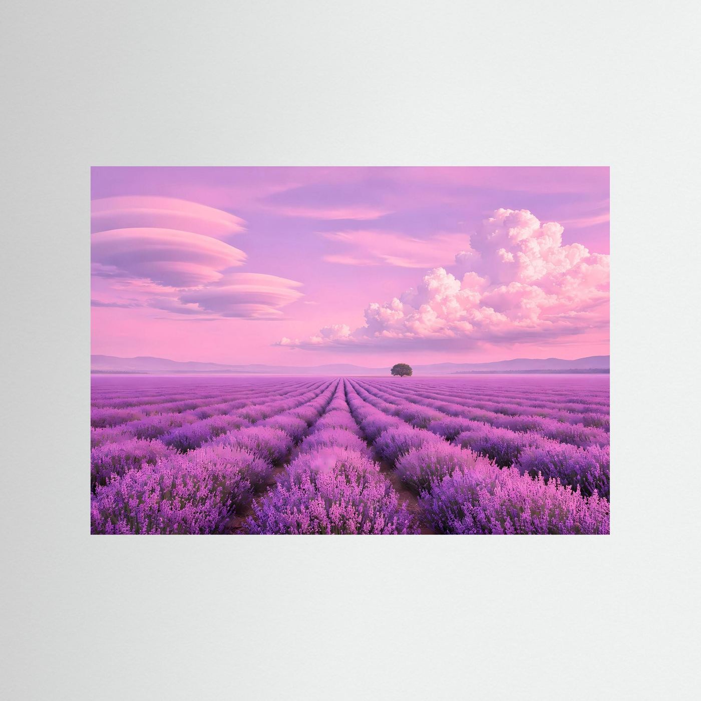 Traumhaftes Lavendelfeld in Rosa & Violett | Provence Panorama Natur Poster Querformat