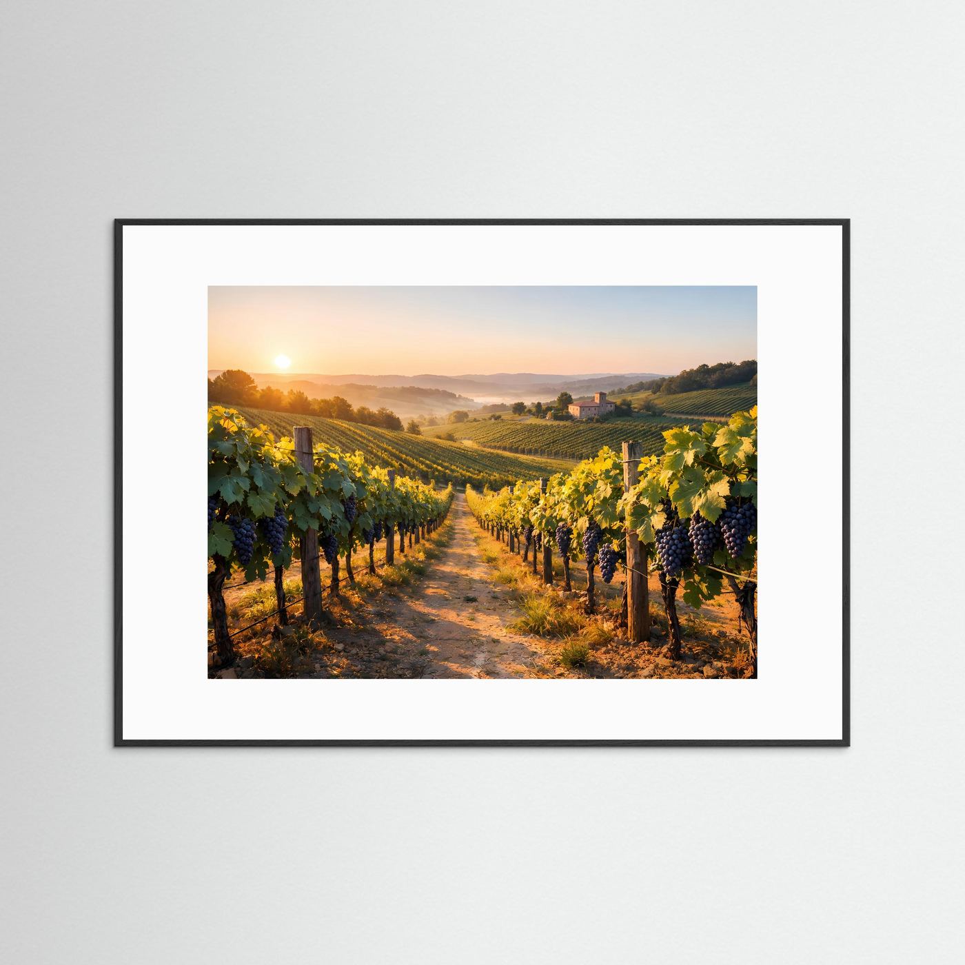 Gerahmtes Weinberg-Poster im Querformat mit Sonnenaufgang, Rebenreihen, schwarzer Rahmen.