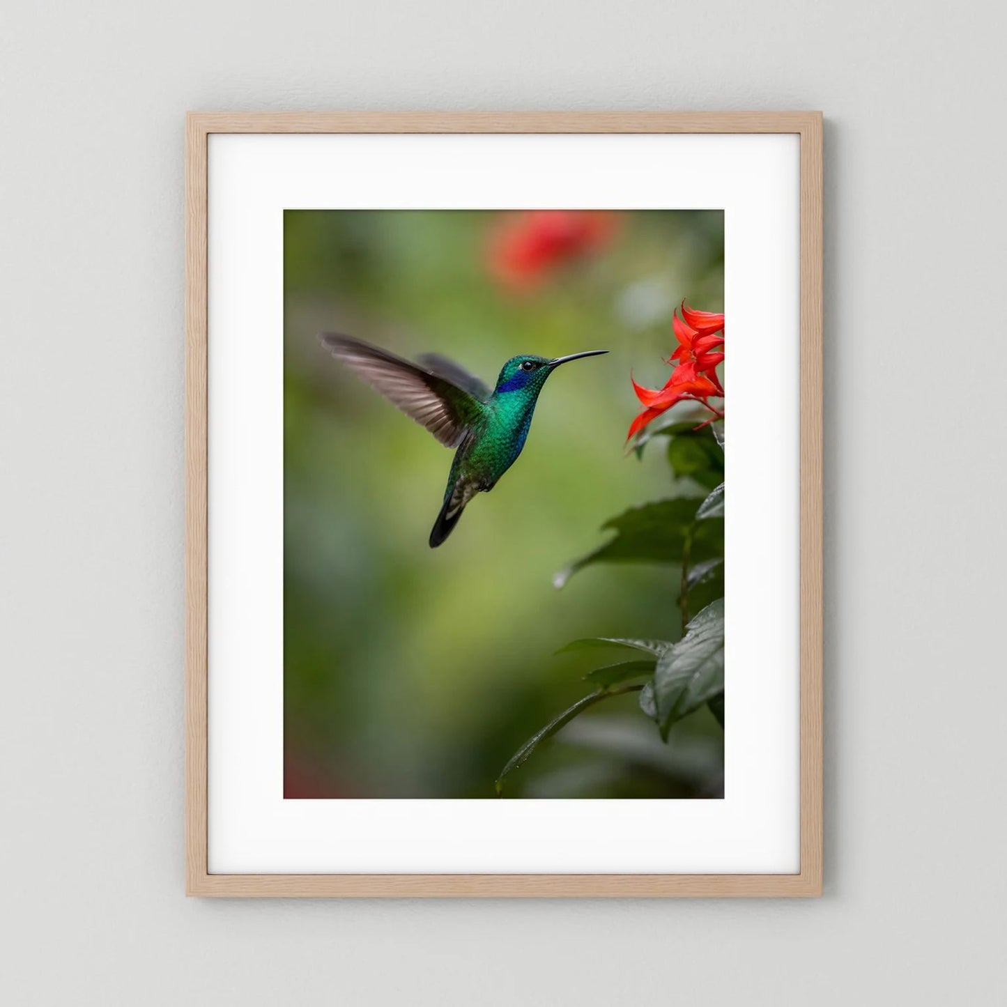 Wandposter mit grünem Kolibri im Flug und roten Blüten, hellerer Holzrahmen mit weißem Rand