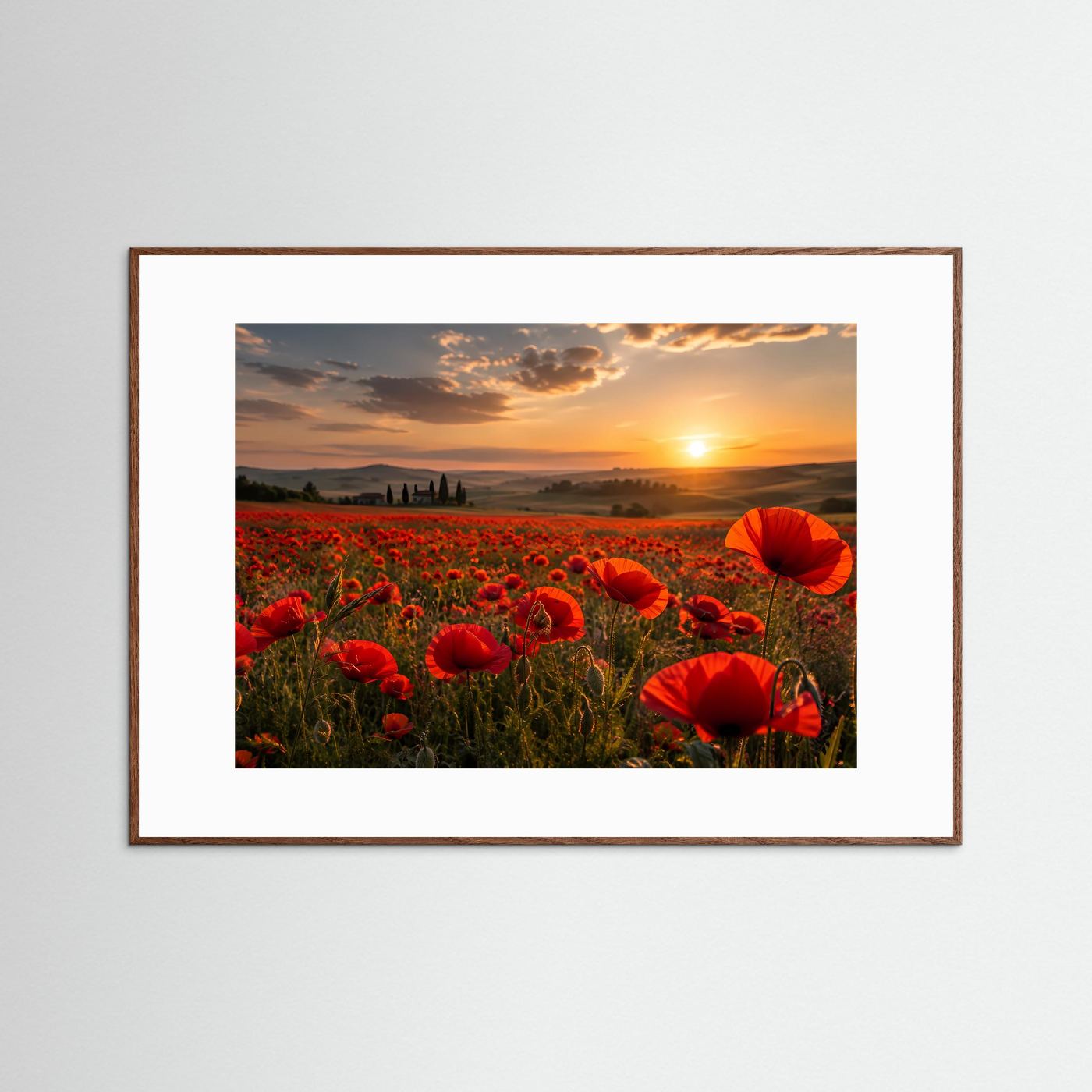 Rotes Mohnblumenfeld im Sonnenuntergang | Romantische Landschaft