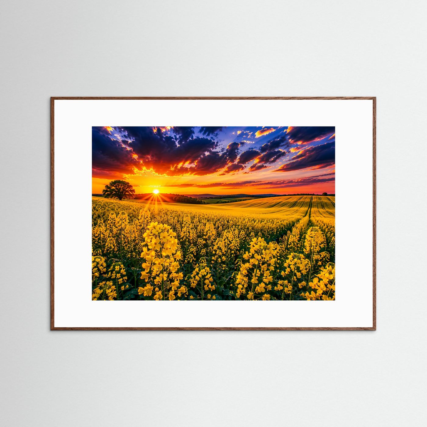 Rapsfeld Wandbild im Sonnenuntergang | Landschaft Poster mit gelben Blumen