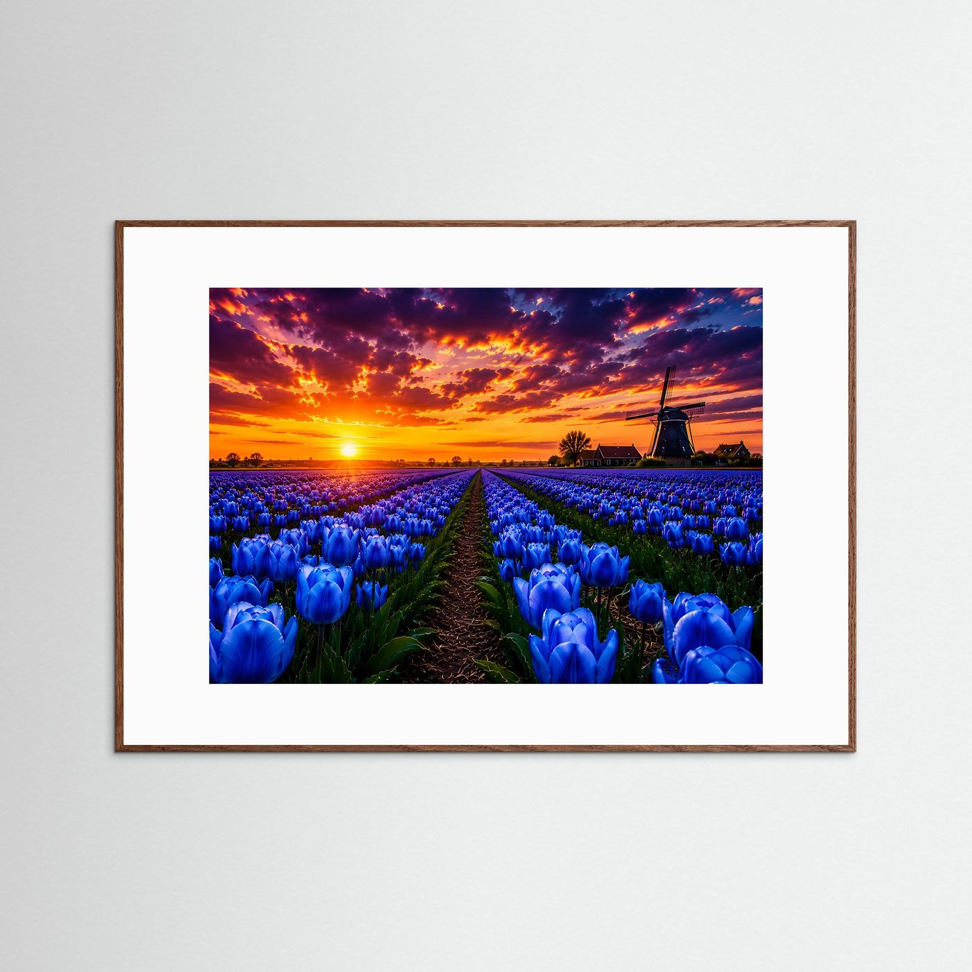 Blaue Tulpen bei Sonnenuntergang | Farbenprächtiges Tulpenfeld mit Windmühle