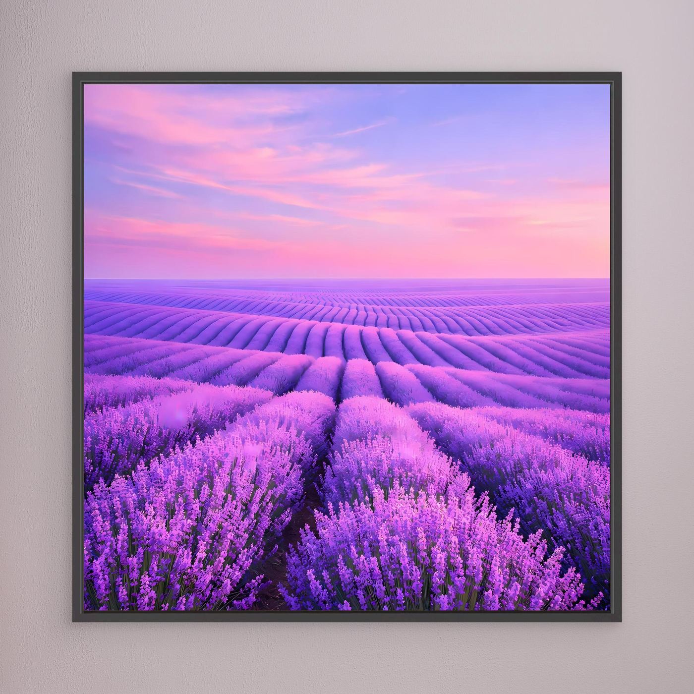 Leinwandbild Lavendelfeld mit rosa Himmel, schwarzer Rahmen