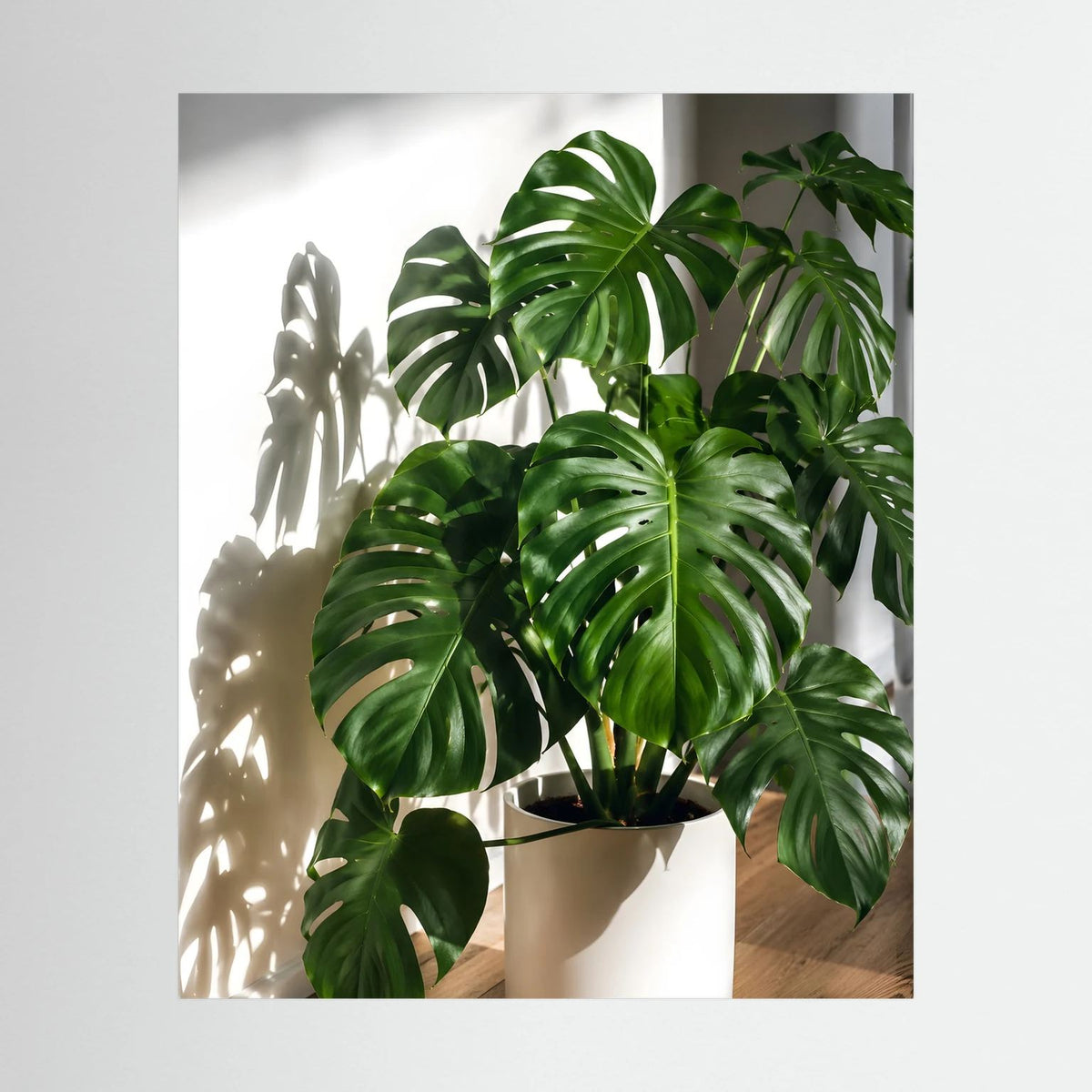 Poster mit Monstera-Pflanze in hellem Topf, hochformatig, ohne Rahmen