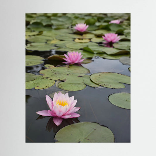 Hochformatiger Kunstdruck mit rosa Seerosen auf dunklem Teich