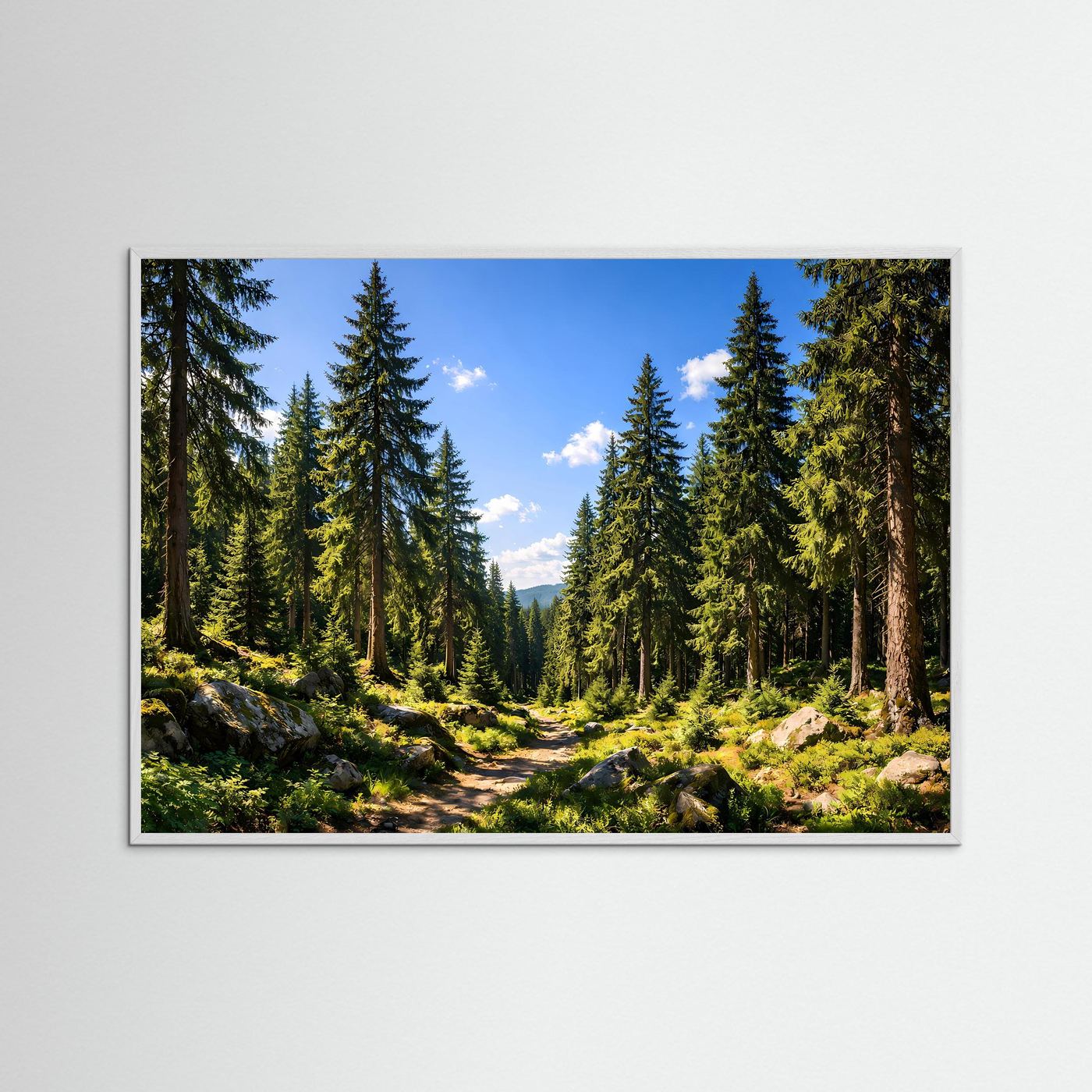 Sonniger Nadelwald im Sommer | Panorama Pfad & Natur Poster Querformat
