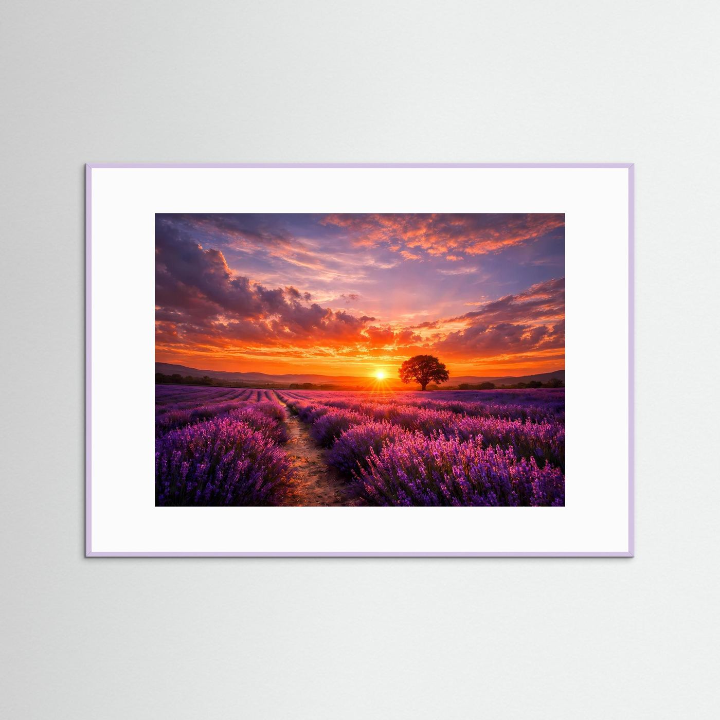 Poster mit weißem Holzrahmen und weißem Rand, Lavendelfeld bei Sonnenuntergang.