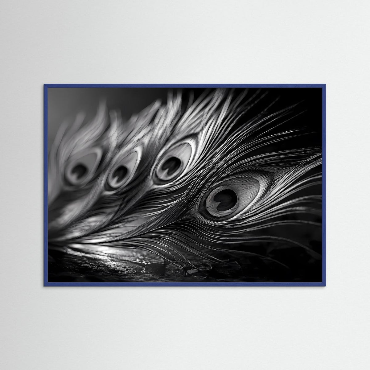 Schwarzweißes Pfauenfeder-Fotoposter mit Makro-Federaugen, blauer Rahmen