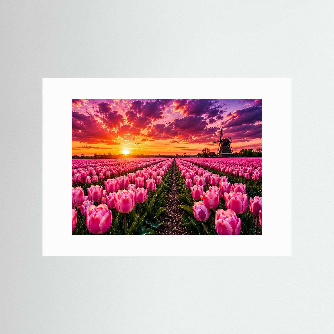 Rosa Tulpenfeld bei Sonnenuntergang | Holland Windmühle Landschaft