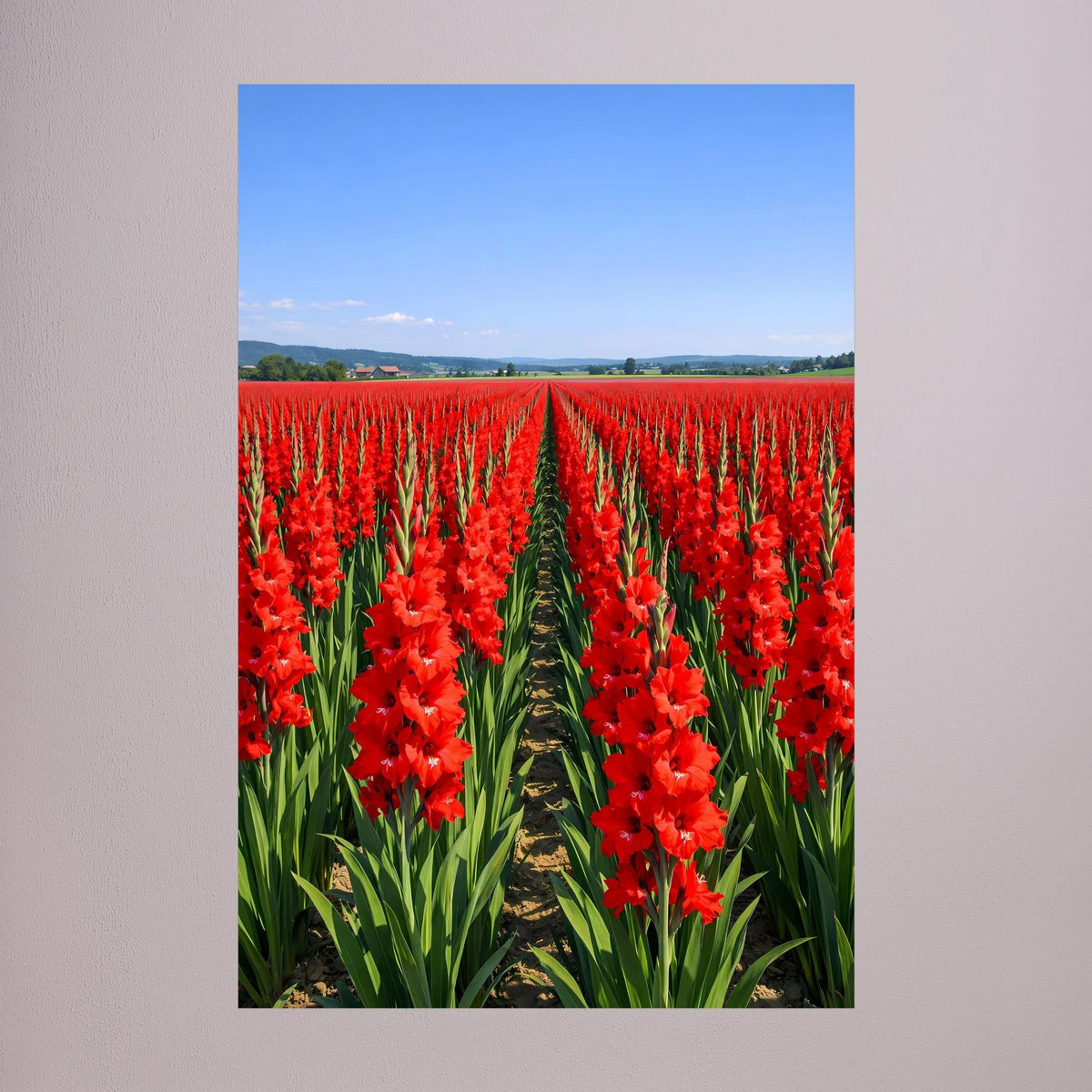 Wandbild: enge Reihen roter Gladiolen mit grünen Blättern, blauer Himmel