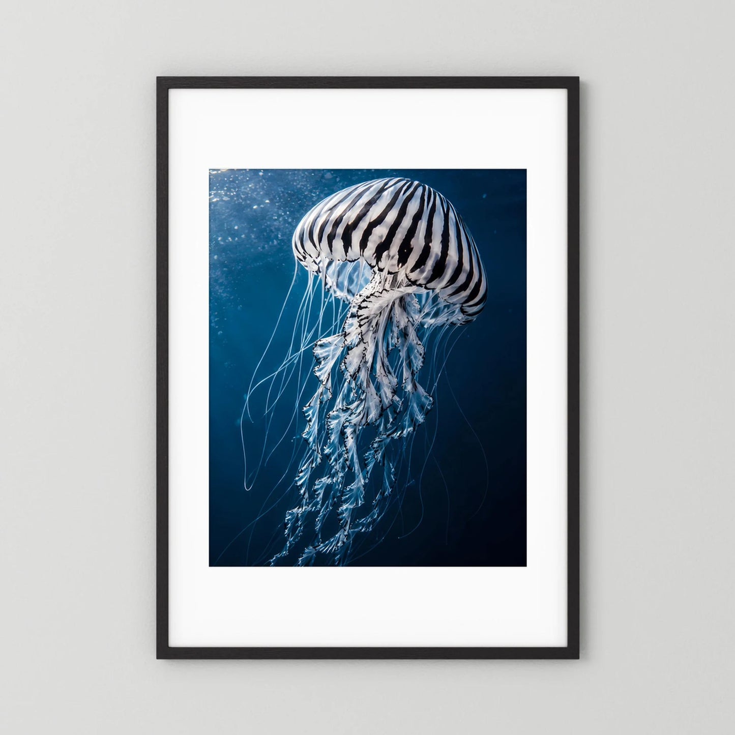 Poster mit Qualle im Blau, schwarz gerahmt, Hochformat.