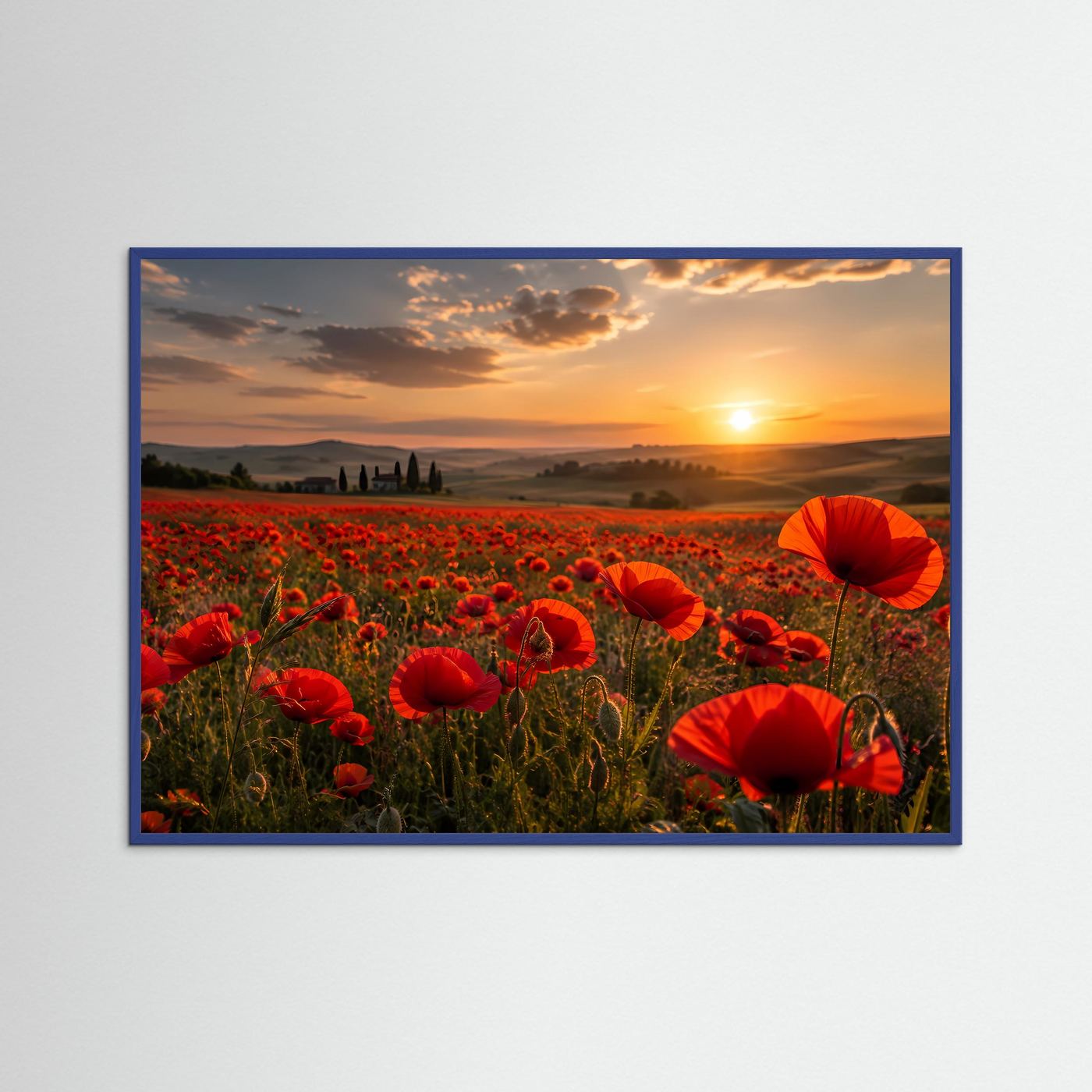 Rotes Mohnblumenfeld im Sonnenuntergang | Romantische Landschaft
