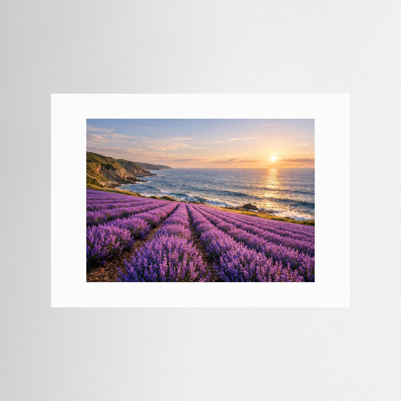 Panorama-Naturposter mit weißem Passepartout: Lavendelfeld am Meer, Küstenweg und Sonnenuntergang