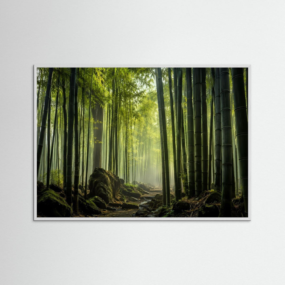 Leinwandbild Bambuswald: grüner Wald, Sonnenlicht durchzieht den Weg im Bambushain
