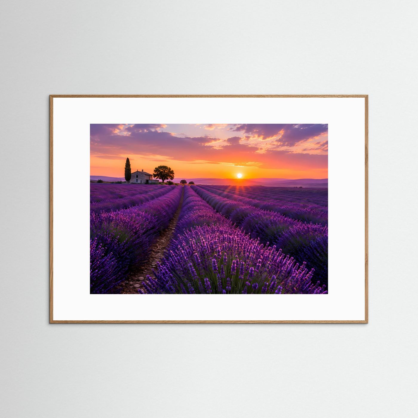 Lavendelfeld Poster Querformat | Provence Landschaft im Sonnenuntergang