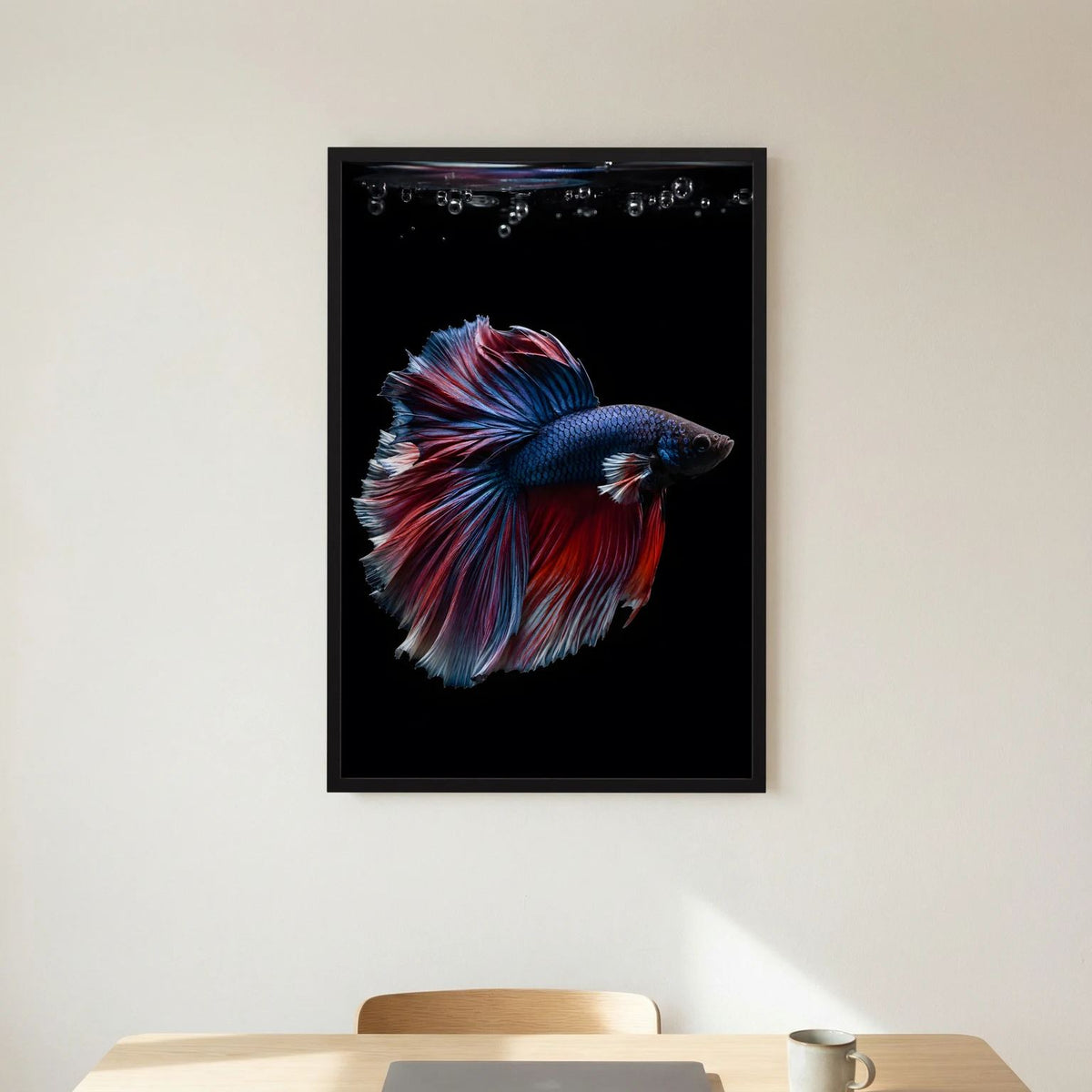 Poster mit blau-rotem Kampffisch mit auffälligen Flossen im schwarzen Rahmen.