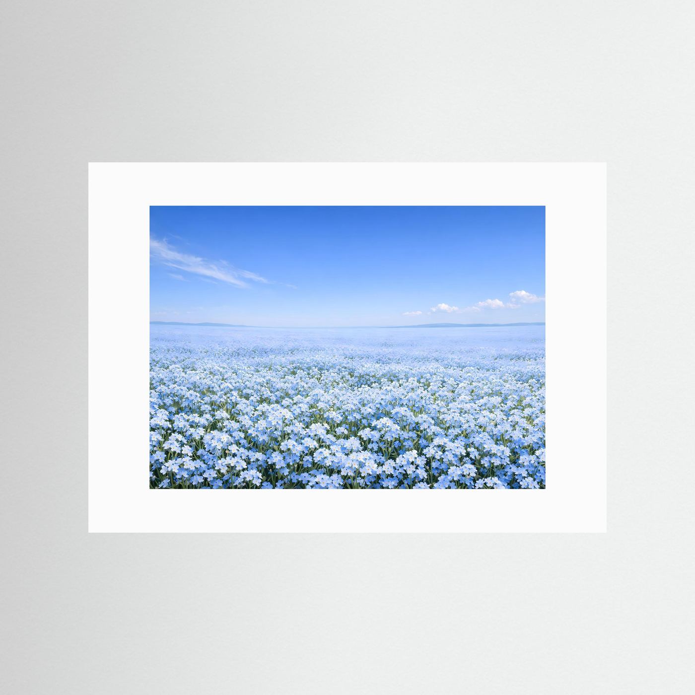 Endloses Vergissmeinnicht Blumenfeld | Blaues Blütenmeer Natur Poster Querformat