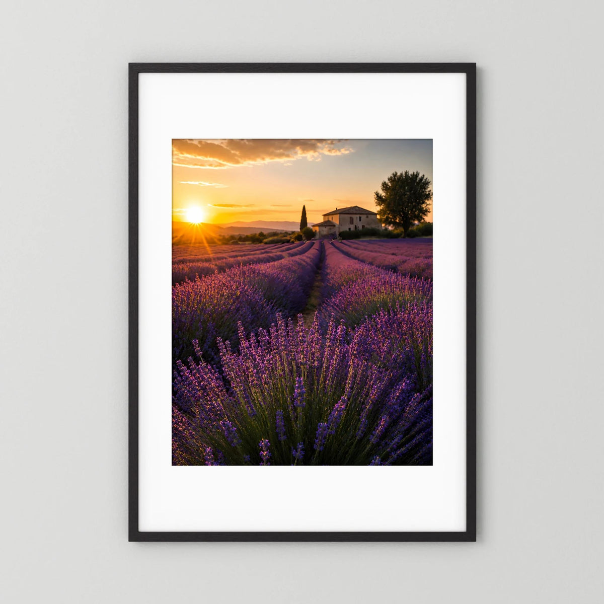 Kunstposter im Hochformat mit schwarzem Rahmen und weißem Rand, Lavendelfeld bei Sonne