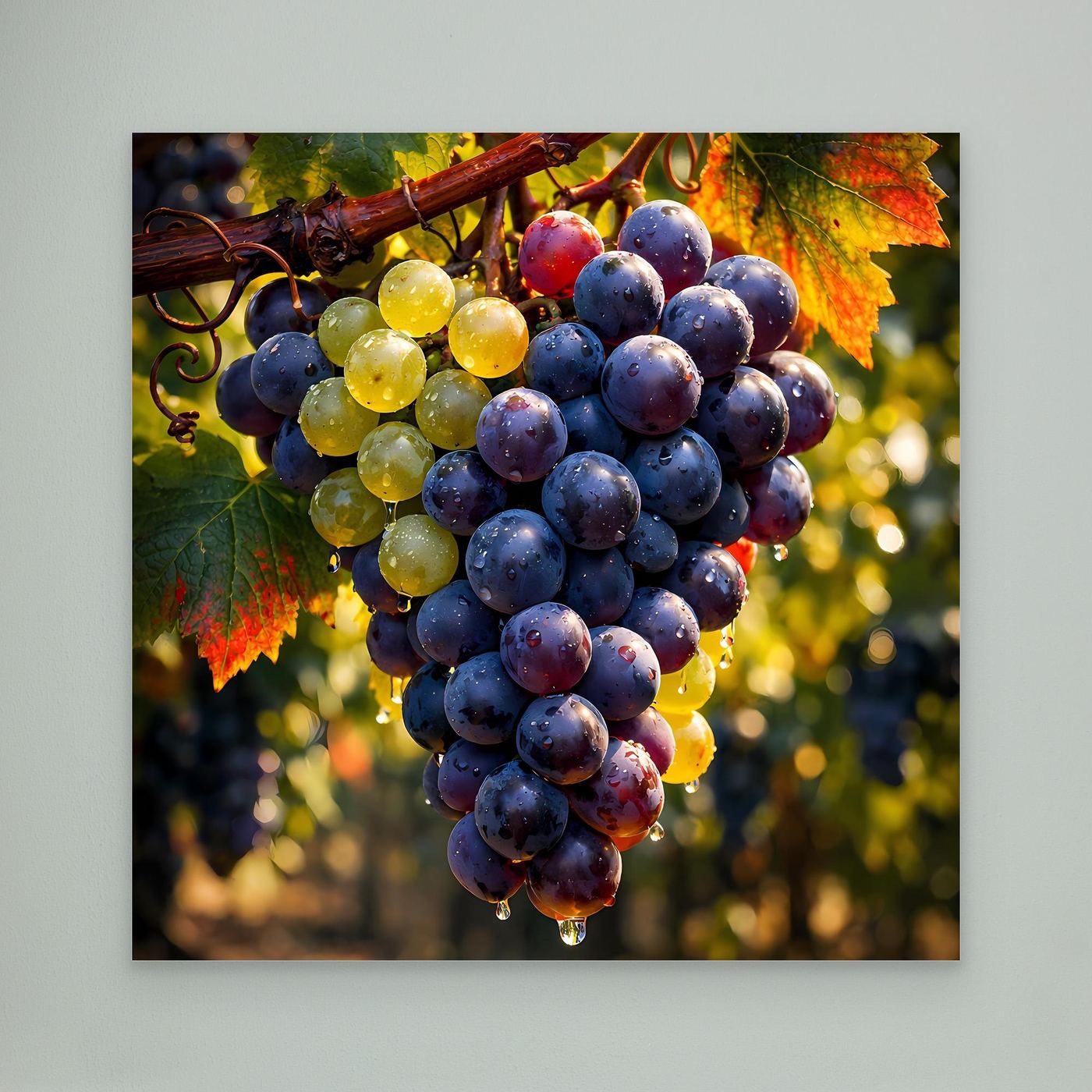 Wandbild mit Weinreben und Weintrauben, blaue sowie gelbe Beeren, leuchtende Herbstblätter