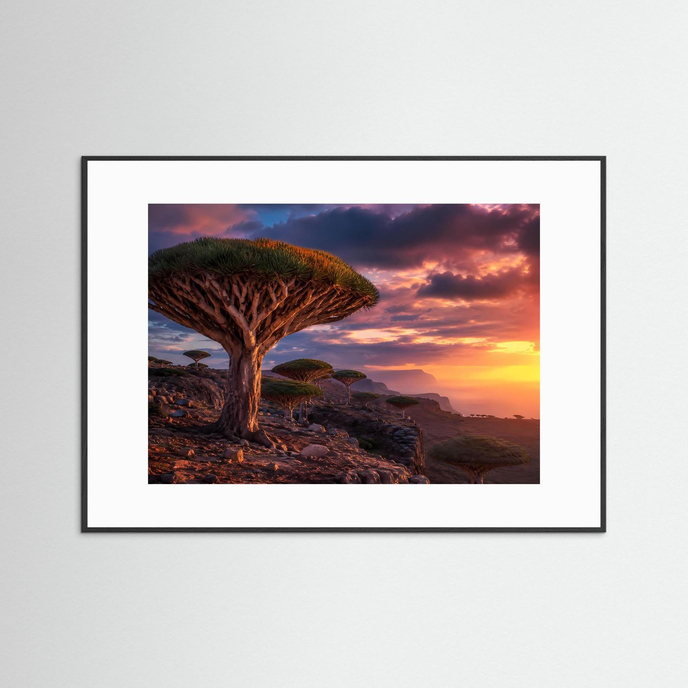 Magischer Drachenbaum-Sonnenuntergang | Sokotra & Exotische Natur Poster Querformat