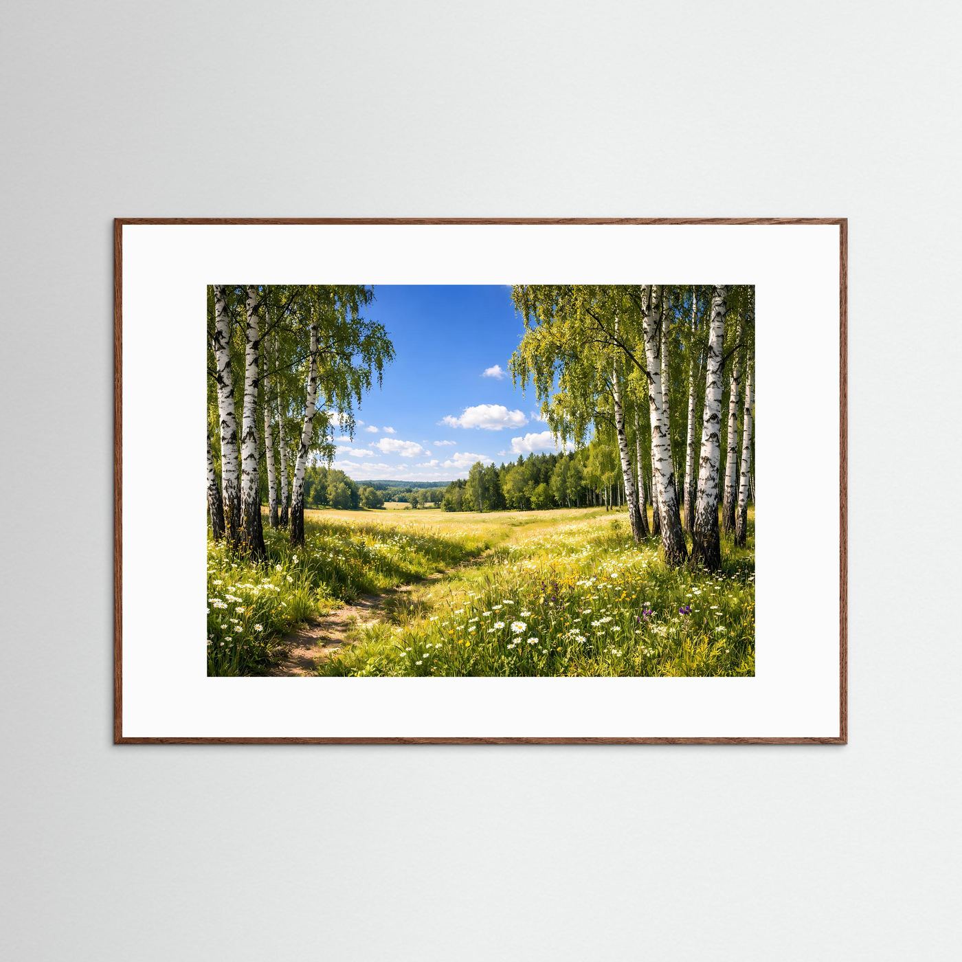 Lichter Birkenwald im Sommer | Panorama Wiesen & Natur Poster Querformat