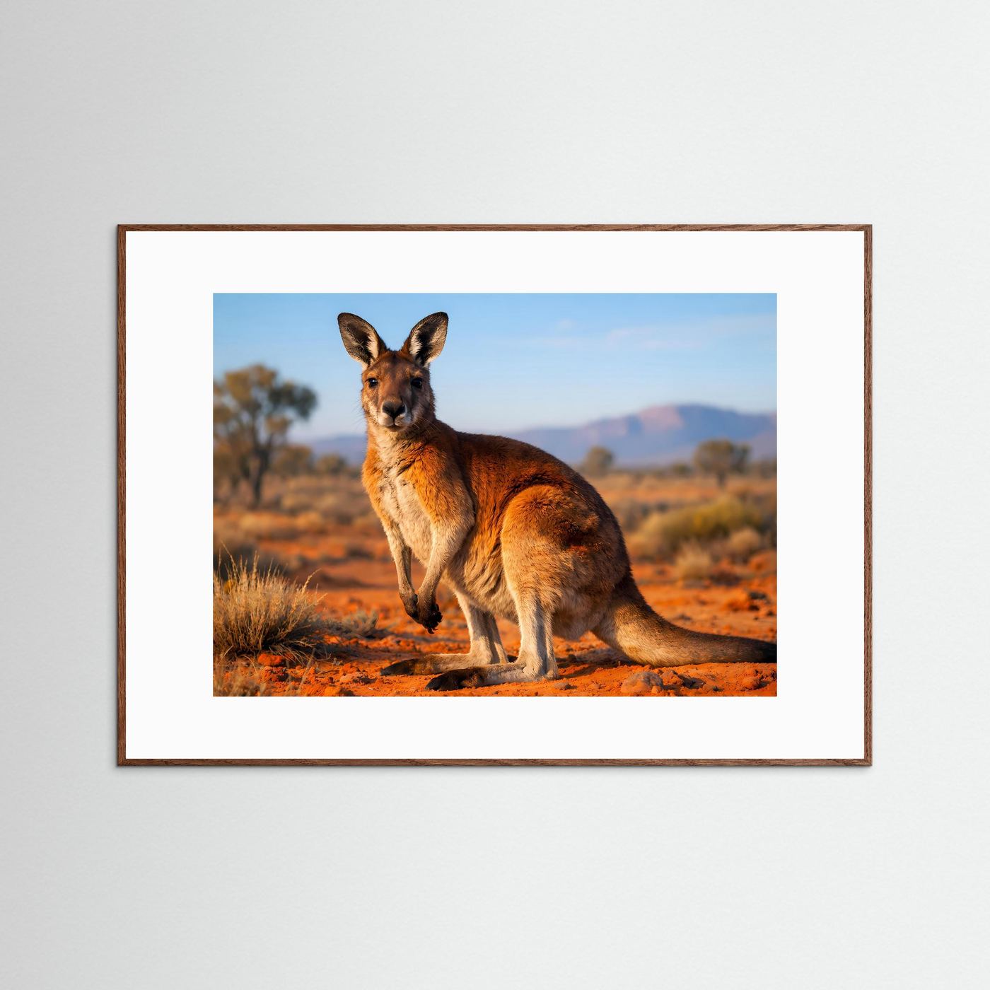 Wildtierposter mit Känguru im Sitzen, horizontal, brauner Holzrahmen
