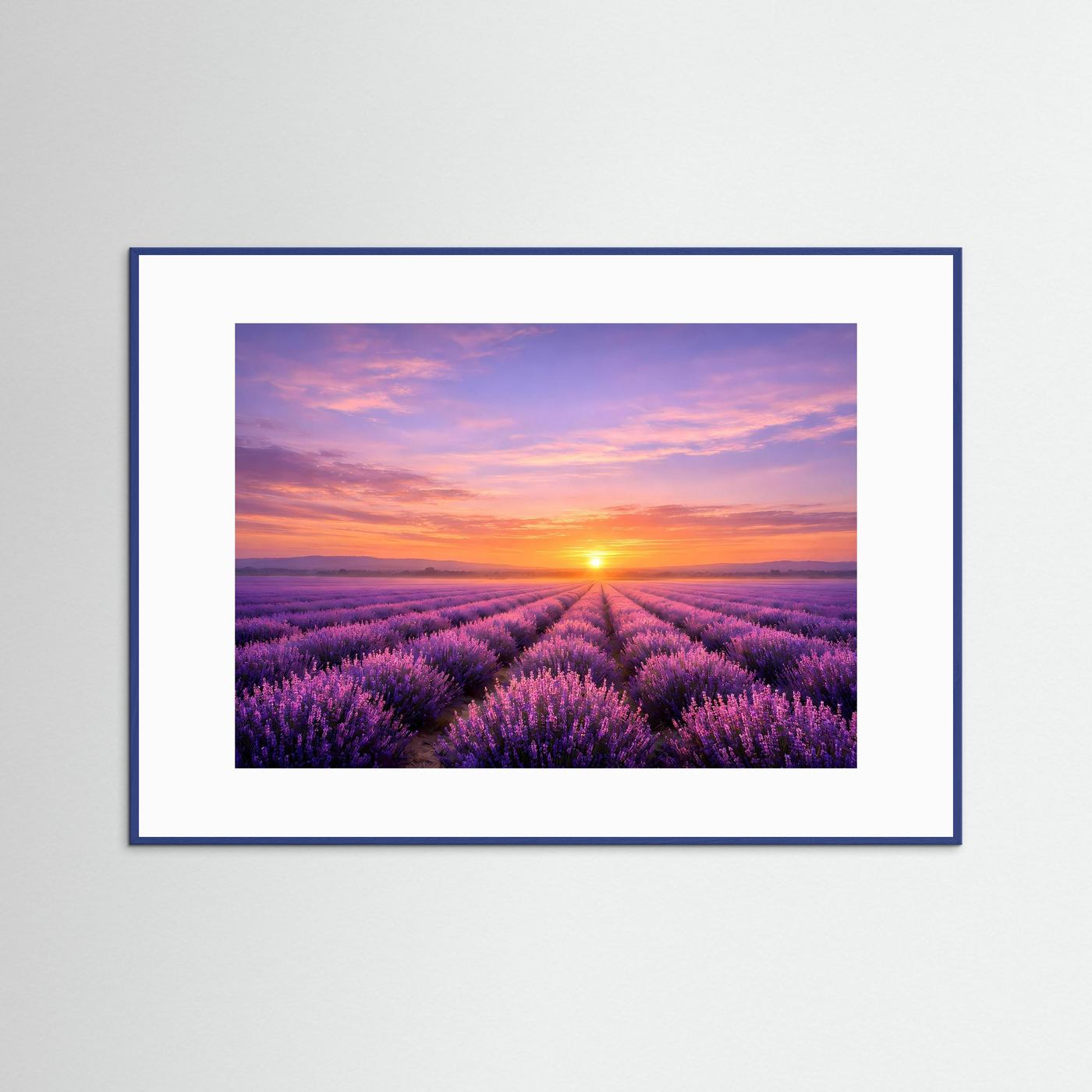 Wandbild Lavendelfeld-Sonnenuntergang, blauer Rahmen, weißes Passepartout