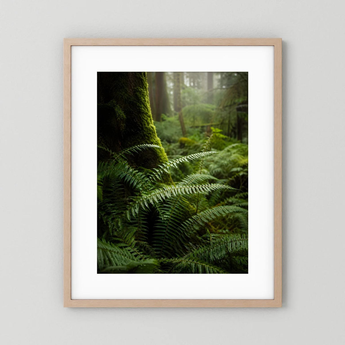 Poster: grüner Farn im Mooswald, naturfarbener Rahmen mit weißem Passepartout, Hochformat