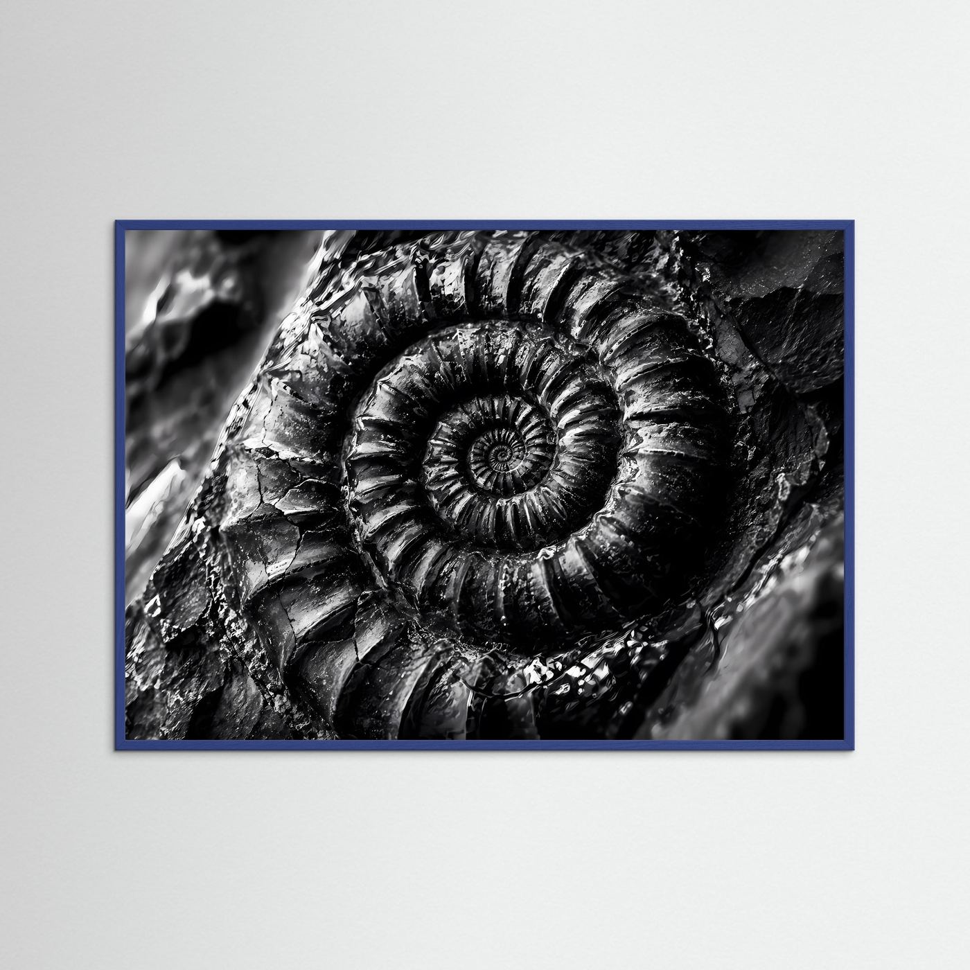Ammonit Fossil Schwarz Weiß Poster | Makro Fossilien Wandkunst | Monochrome Naturkunst | Geologie Leinwand | Modernes Spiral Fossil Bild