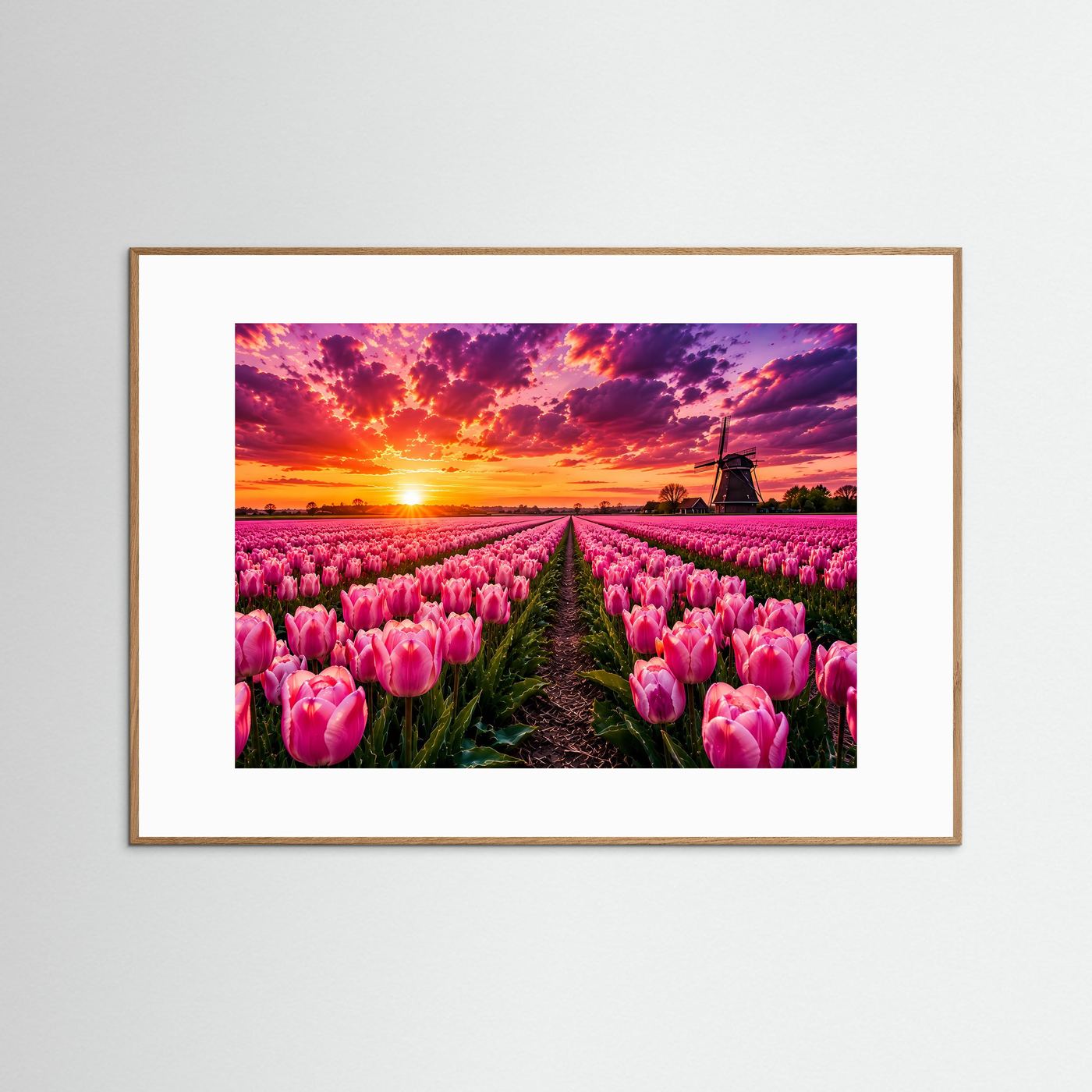 Rosa Tulpenfeld bei Sonnenuntergang | Holland Windmühle Landschaft