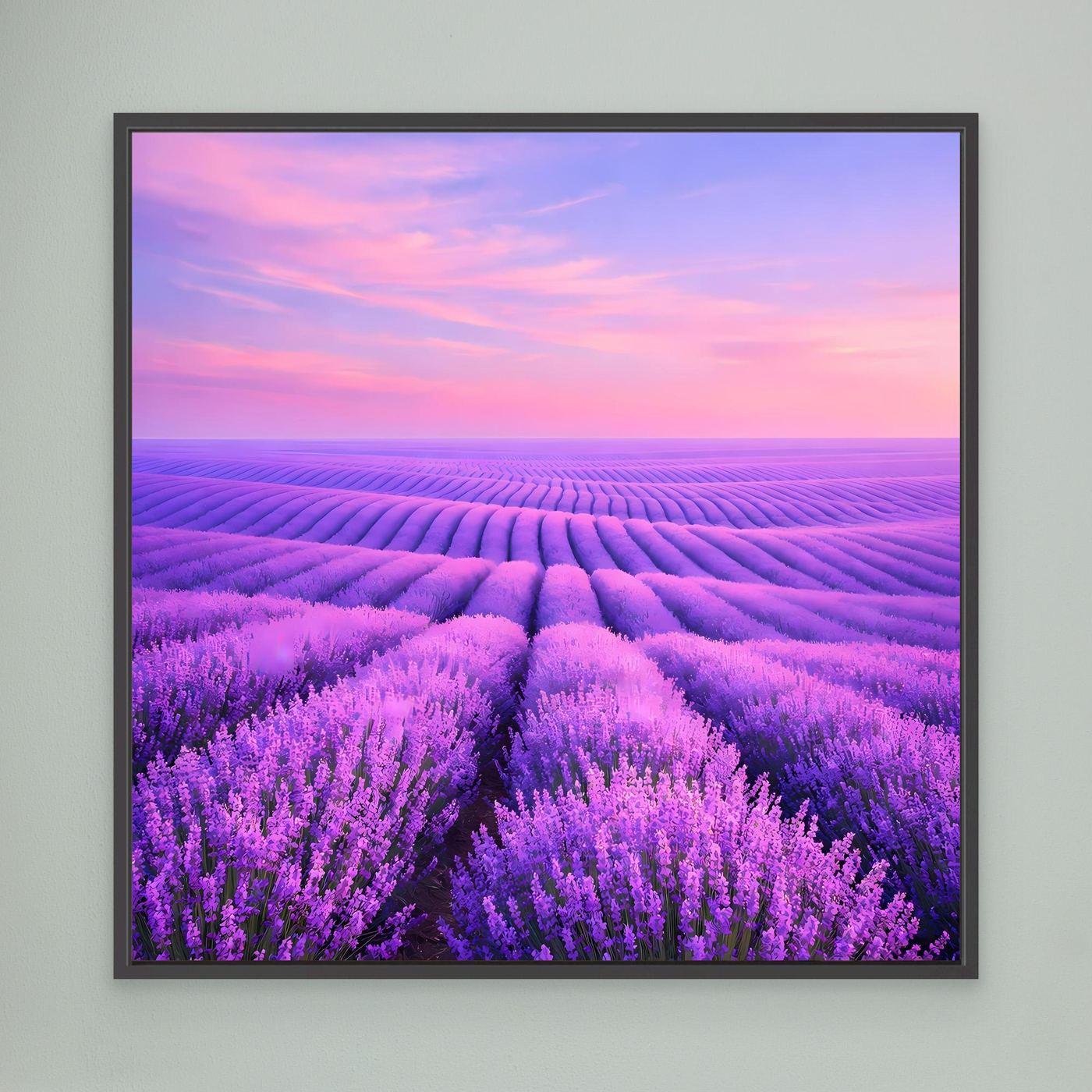Leinwandbild Lavendelfeld mit rosa Himmel, schwarzer Rahmen